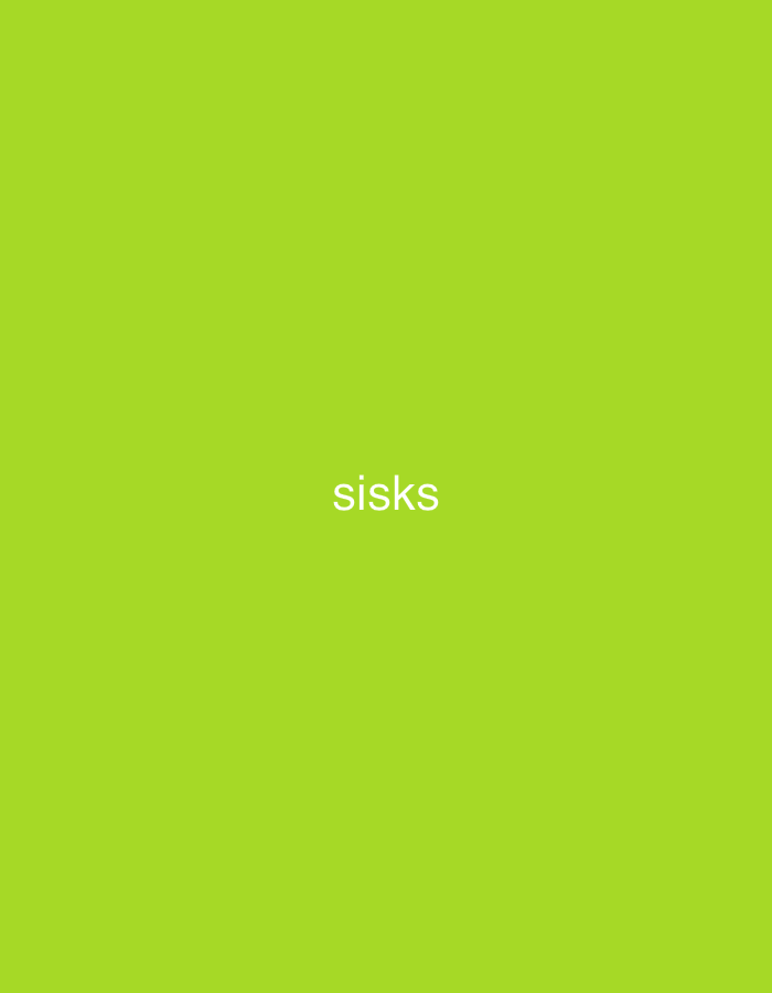 The image is a solid green background with the word "sisks" in white text centered on the frame. There is no indication of location, people, objects, actions, or interactions.