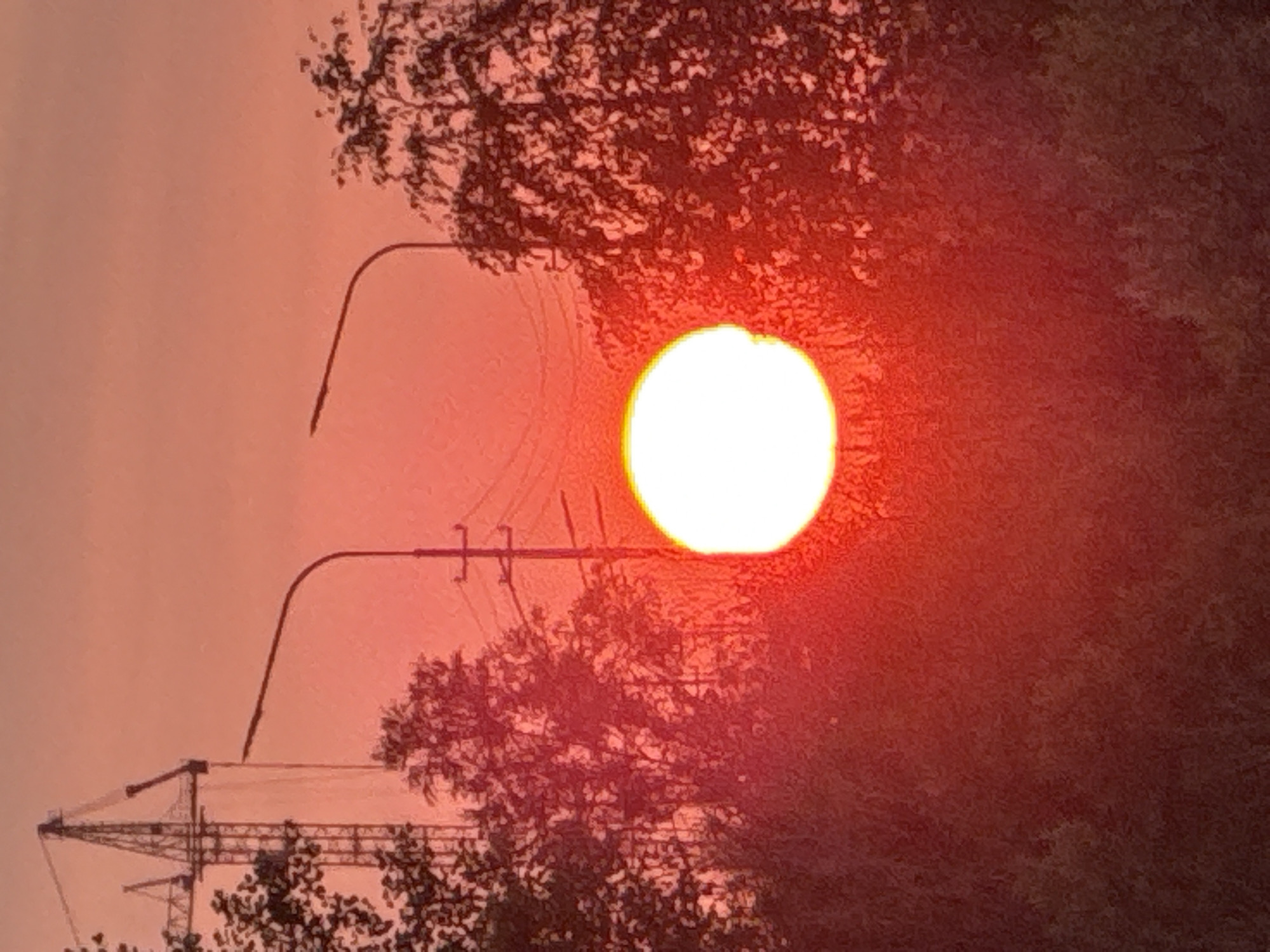 A bright, circular sun is setting over the city of Surgut, Russia. The sky is a vibrant orange-red, indicating the sun is low on the horizon. Silhouetted against the sky are several trees, their leaves a deep red. In the background, two streetlights with curved poles are visible, as well as a construction crane and power lines. The overall scene is one of a warm, atmospheric sunset in an urban setting.