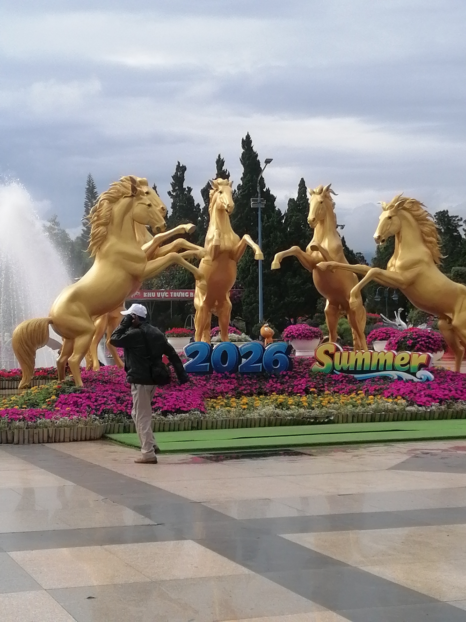 This outdoor photograph depicts a vibrant public display in Phường Xuân Hương - Đà Lạt, Vietnam, under an overcast sky. The central focus is an arrangement of five large, golden, rearing horse statues, likely made of metal or a metallic-painted material. These statues are set in a semicircle on a raised platform adorned with extensive beds of bright pink and yellow flowers, enclosed by a low wooden fence.
To the left of the display, a water fountain sprays a tall plume of water, partially obscuring one of the horse statues. In the foreground, a person, seen from behind, walks across a paved plaza with geometric patterns. The individual is wearing a dark jacket, light-colored pants, and a white baseball cap, with their right hand raised towards their ear, possibly engaged in a phone conversation or adjusting their cap. They are looking towards the elaborate display.
In the background, behind the golden horses, tall, dark green evergreen trees punctuate the scene, suggesting a park or landscaped area. The sky is uniformly cloudy, indicating a daytime setting without direct sunlight. Prominently displayed at the base of the statues are large blue numbers "2026" and a colorful, wavy sign spelling out "Summer." Another partial sign in the background reads "KHU VUC TRUNG B". The scene captures a decorative, celebratory atmosphere, likely for a public event or seasonal attraction.