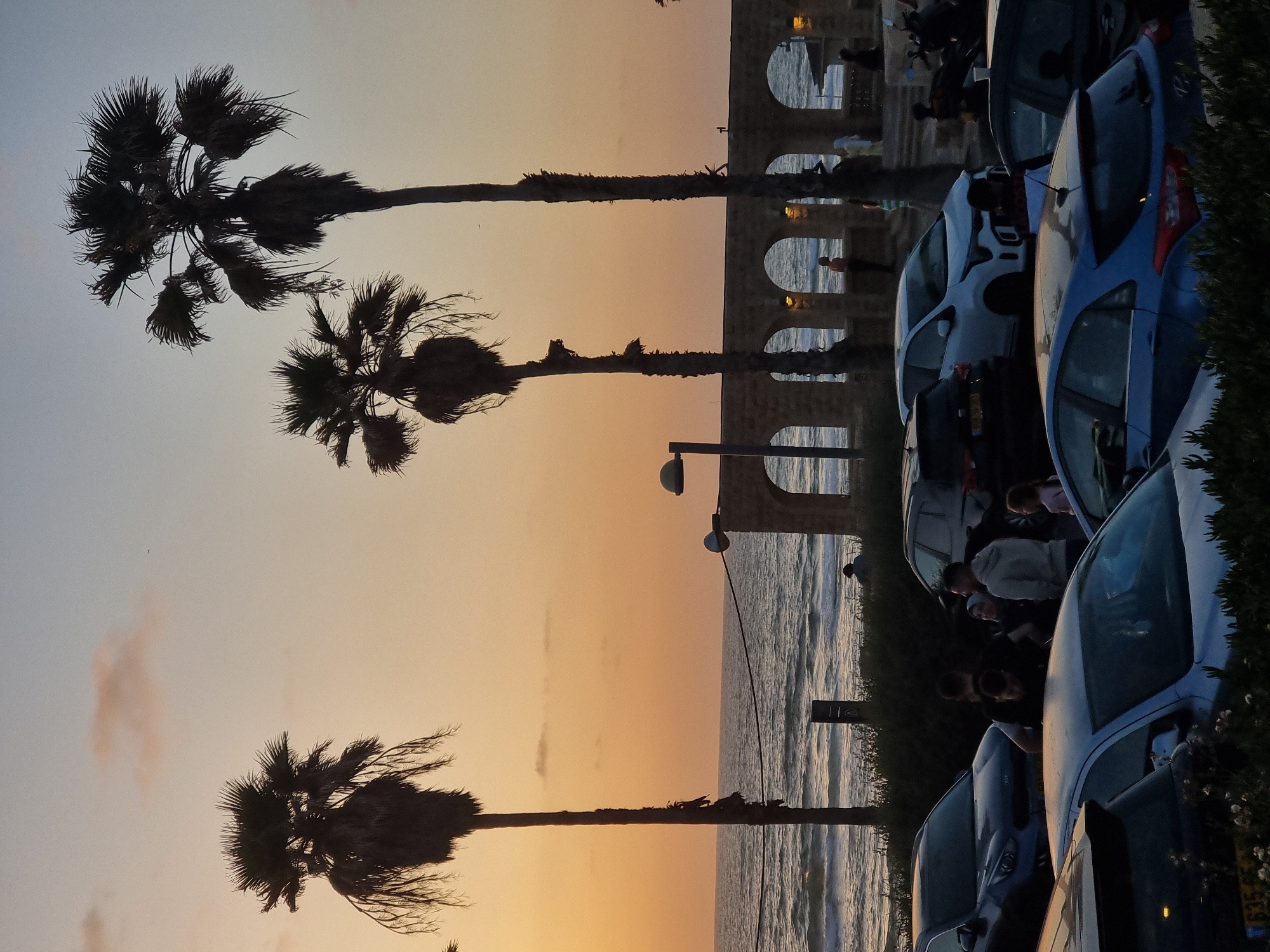 The image captures an outdoor scene in Tel-Aviv, Israel, at what appears to be sunset or sunrise. The sky exhibits a gradient of orange hues. Three palm trees stand silhouetted against the sky. Adjacent to the sea and the palm trees is an arcade with arches; people stand on the other side of the arcade looking at the beach and ocean. Several parked cars are visible, partially obscuring the view of the ocean and the crowd of people, which appear to be near the side of the building. A street lamp stands between the palm trees and the arcade. The sea extends into the horizon, with visible waves.