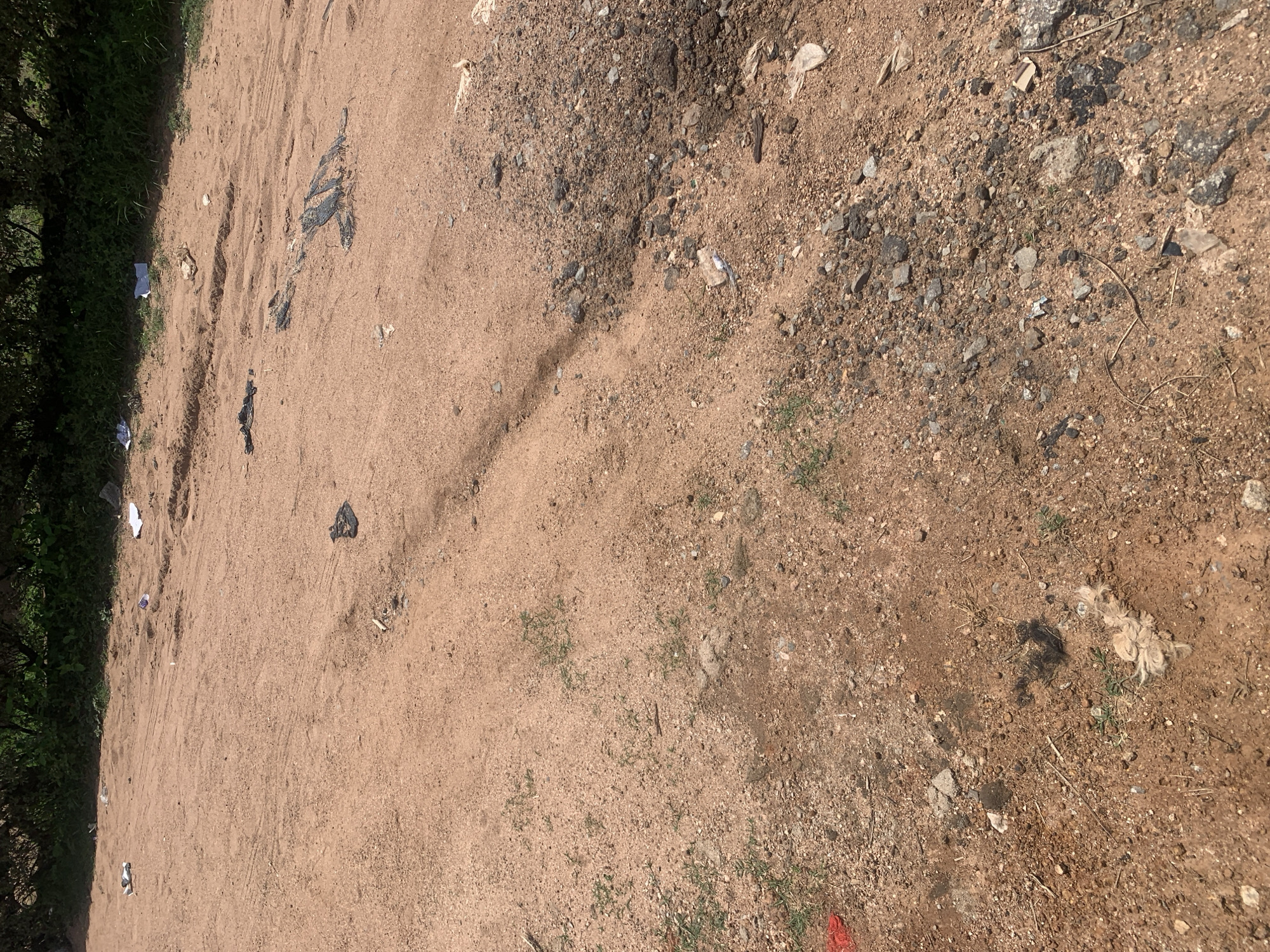 The image depicts a dusty, reddish-brown dirt road littered with various debris. The area appears to be an unpaved section of a road or pathway, possibly in a rural or semi-urban setting, consistent with locations in Jauro Yinu, Nigeria. In the foreground and midground, the ground is covered with small pebbles, larger stones, and patches of sparse vegetation. Several pieces of trash are scattered across the scene, including white paper fragments, dark plastic or fabric items, and some unidentifiable light-colored fibrous material. Tire tracks are visible in the dirt, indicating vehicle passage. In the background, a dense line of green foliage, likely trees and bushes, borders the road. The lighting suggests it is daytime, with shadows cast by the vegetation.