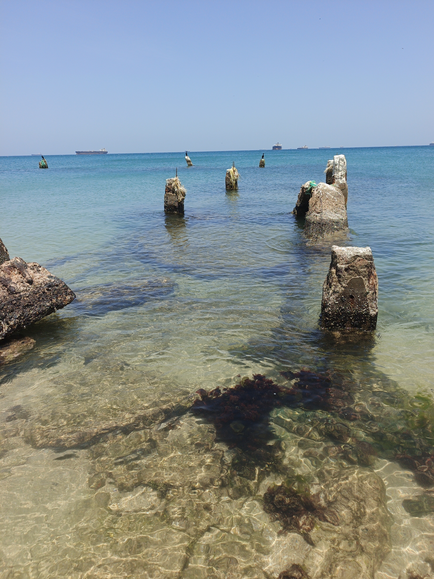 The image shows a coastal scene, likely in the city of Villa Marina, Venezuela, as that location was provided. Several weathered, concrete pillars stand in the shallow, clear turquoise water near the shoreline. Some have seaweed or debris at their tops, and some appear to have birds perched on them. In the background, several ships are visible on the horizon. The foreground shows clear water, revealing a sandy bottom with patches of dark seaweed and algae. On the left side, a large rock formation is partly submerged in the water. The sky is clear and blue, suggesting a sunny day.