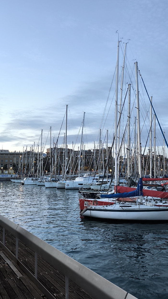 The image presents a tranquil scene of a marina or harbor filled with numerous sailboats under an overcast sky. The viewpoint is from a wooden dock or boardwalk, which extends from the bottom left corner of the frame diagonally towards the center. A silver-colored metal railing runs along the edge of this dock.
The water in the harbor is calm, displaying subtle ripples and reflections of the boats and the sky above. Its color is a deep blue-grey, consistent with the soft, diffused light conditions.
The main subjects of the photograph are the many sailboats moored side-by-side in neat rows that stretch across the width of the image, receding into the distance. Most of the boats have white hulls. In the foreground, two prominent sailboats feature colorful sail covers; one displays a bright red cover, and another a royal blue cover. The boat with the red cover, located in the right mid-foreground, has a white hull with a blue line running along its side and a white circle containing the number "44" on its hull. Further back, another white boat shows a white rectangular box with black text that appears to be a registration number: "4-TH-11-95". A white catamaran with a unique symbol (possibly an 'A' or triangle) on its hull is also visible among the boats further back.
Rising above the boat hulls is a dense, intricate network of tall, slender white masts and rigging, creating a complex pattern against the sky. The lines and wires crisscross, connecting the masts to the hulls and to each other. Some masts are topped with small wind instruments or antennas.
In the background, beyond the expanse of boats, a city or town skyline is visible. Buildings of varying heights and architectural styles line the waterfront, contributing to an urban setting. The details of these buildings are somewhat muted by the distance and the soft lighting.
The sky is a pale, uniform blue-grey, indicative of an overcast day. The lighting is soft and diffused, suggesting either early morning or late afternoon/early evening. There are no people explicitly visible or engaged in activities, enhancing the peaceful and quiet atmosphere of the scene. The overall impression is one of calm and stillness in a bustling nautical environment.