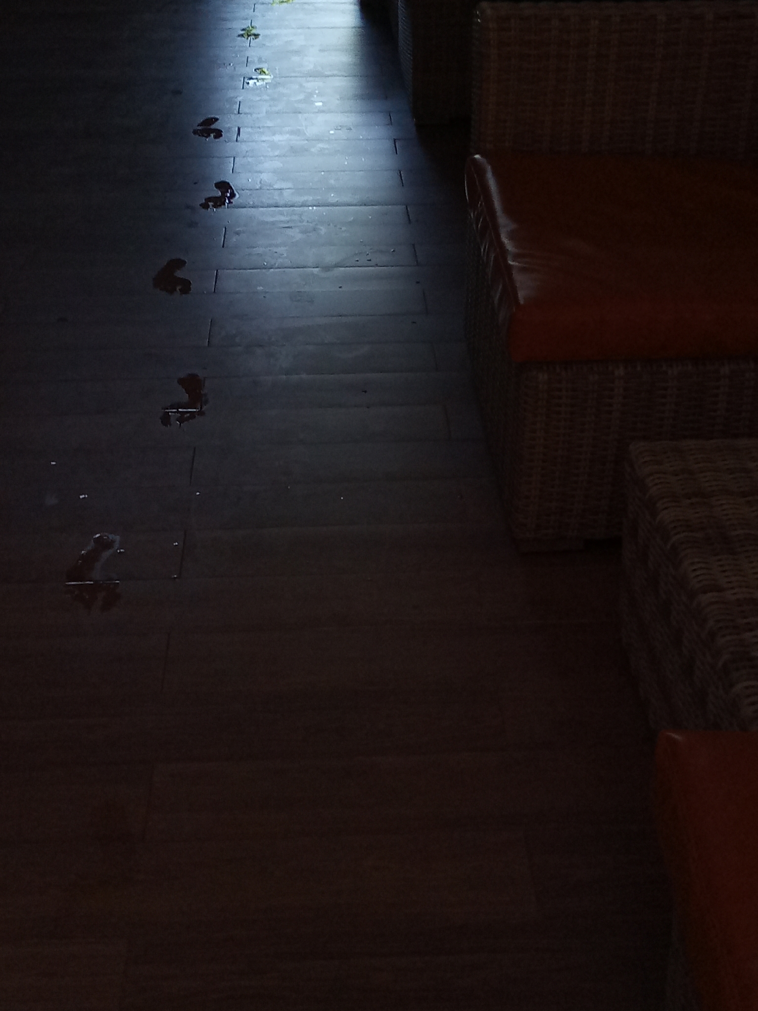 The scene shows wet footprints leading from a bright doorway towards an area with wicker furniture with orange cushions. The footprints are scattered on a dark tile floor. The location is likely indoors, given the furniture, and near an exit that leads to a brighter area. There are no people visible in the frame. There is no mention of Bac Natural Heritage Area Trang, Vietnam.