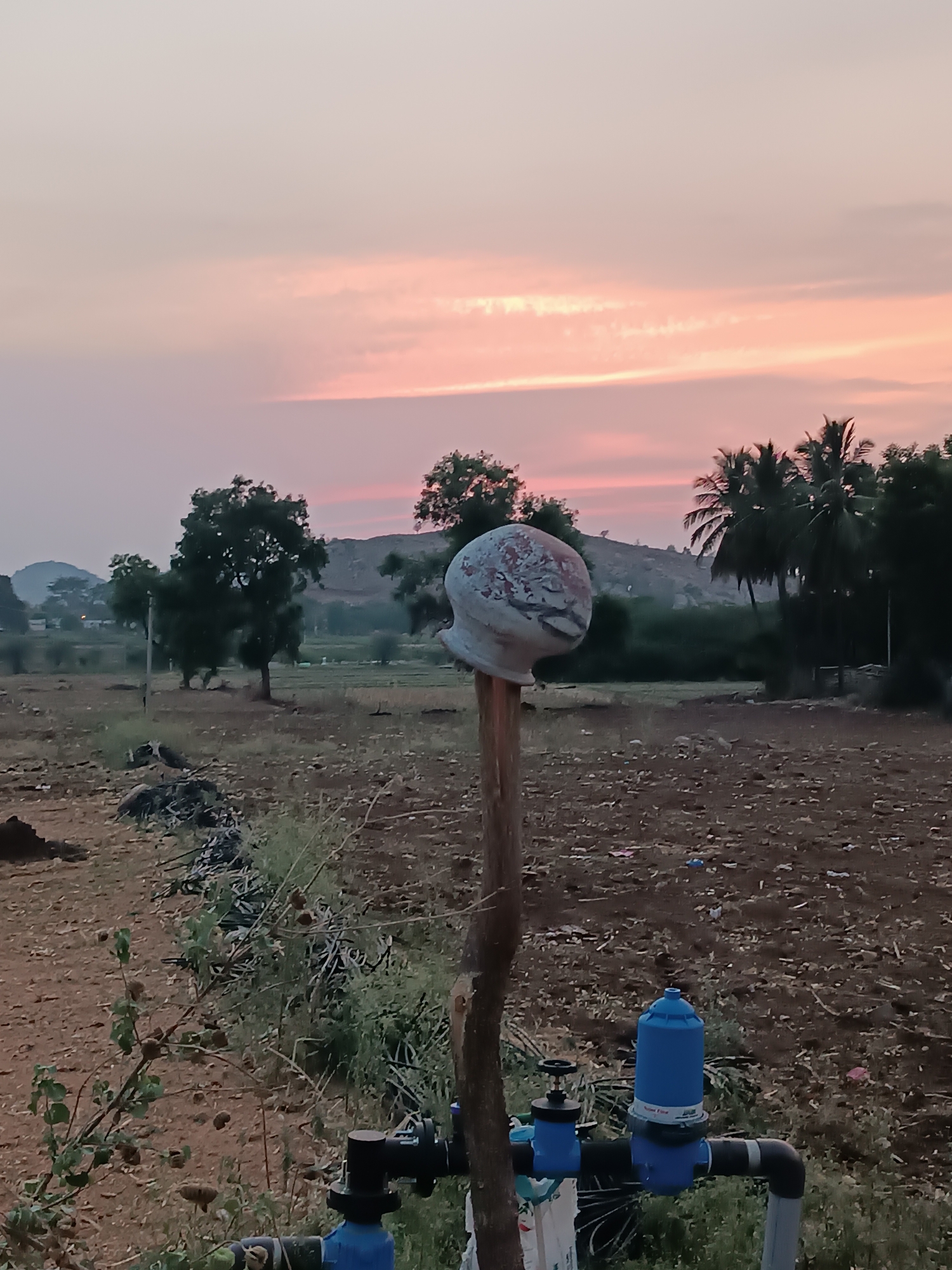 The image presents a rural scene, likely at dawn or dusk, with a predominantly pink sky. In the foreground, there is what appears to be a water pot placed on top of a wooden post. Adjacent to the pot's post, a water irrigation system is visible, featuring pipes, valves, and a blue filter component. The middle ground shows a cultivated field with sparse vegetation. Scattered trees and coconut palms punctuate the landscape. In the background, a small hill or ridge is visible. Based on the provided information, the location is in the city of Kammavaripalli, India. No people are visible in the image.