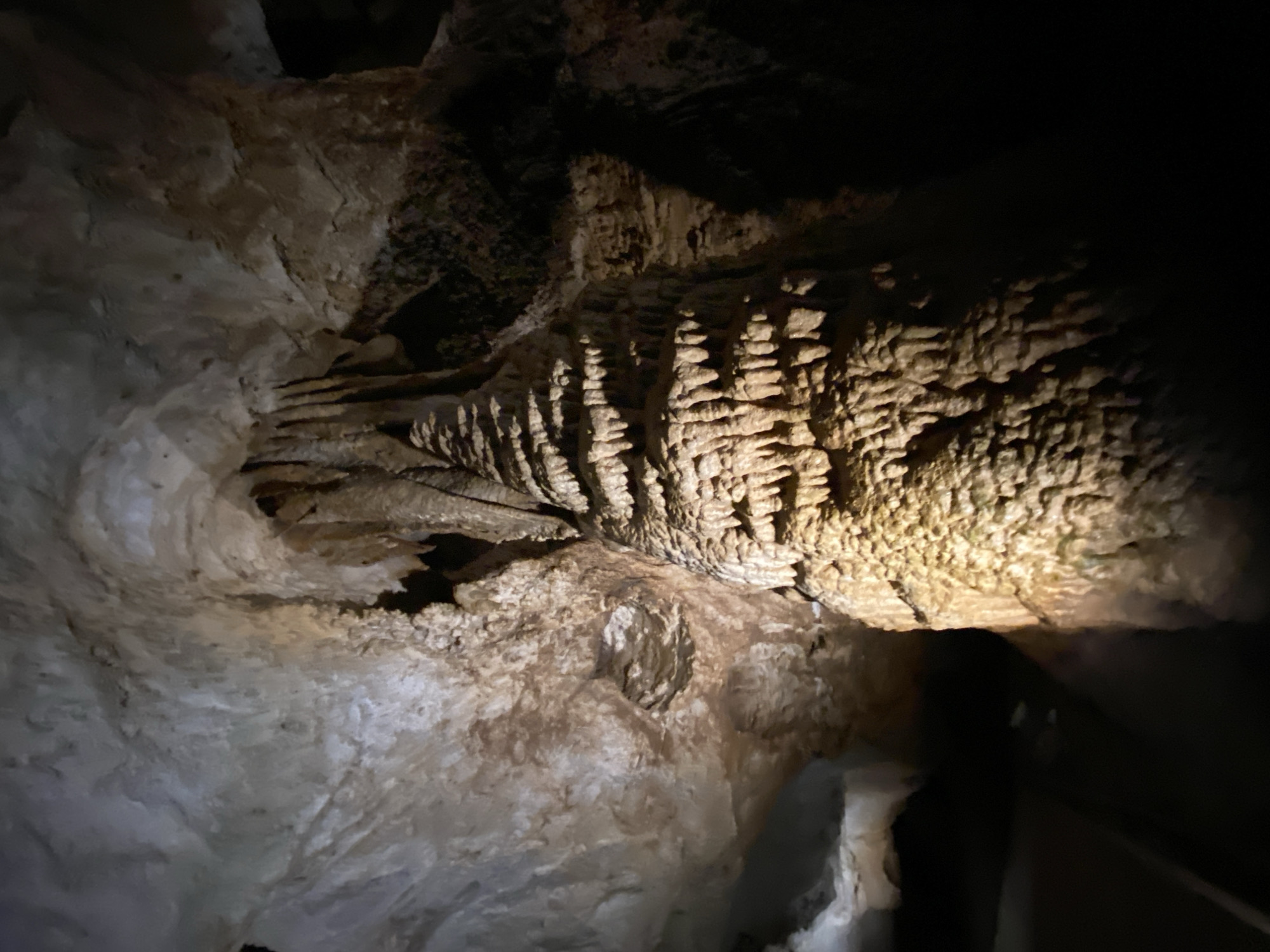 The image depicts the interior of Lipa Cave in Lipa Dobrska, Montenegro. Formations of stalactites and stalagmites are visible, illuminated by artificial light. The cave walls are textured and vary in color from light gray to dark brown. The scene is dimly lit, with areas of shadow obscuring some details. A railing is present in the lower right corner, suggesting a guided pathway through the cave. No people are visible.