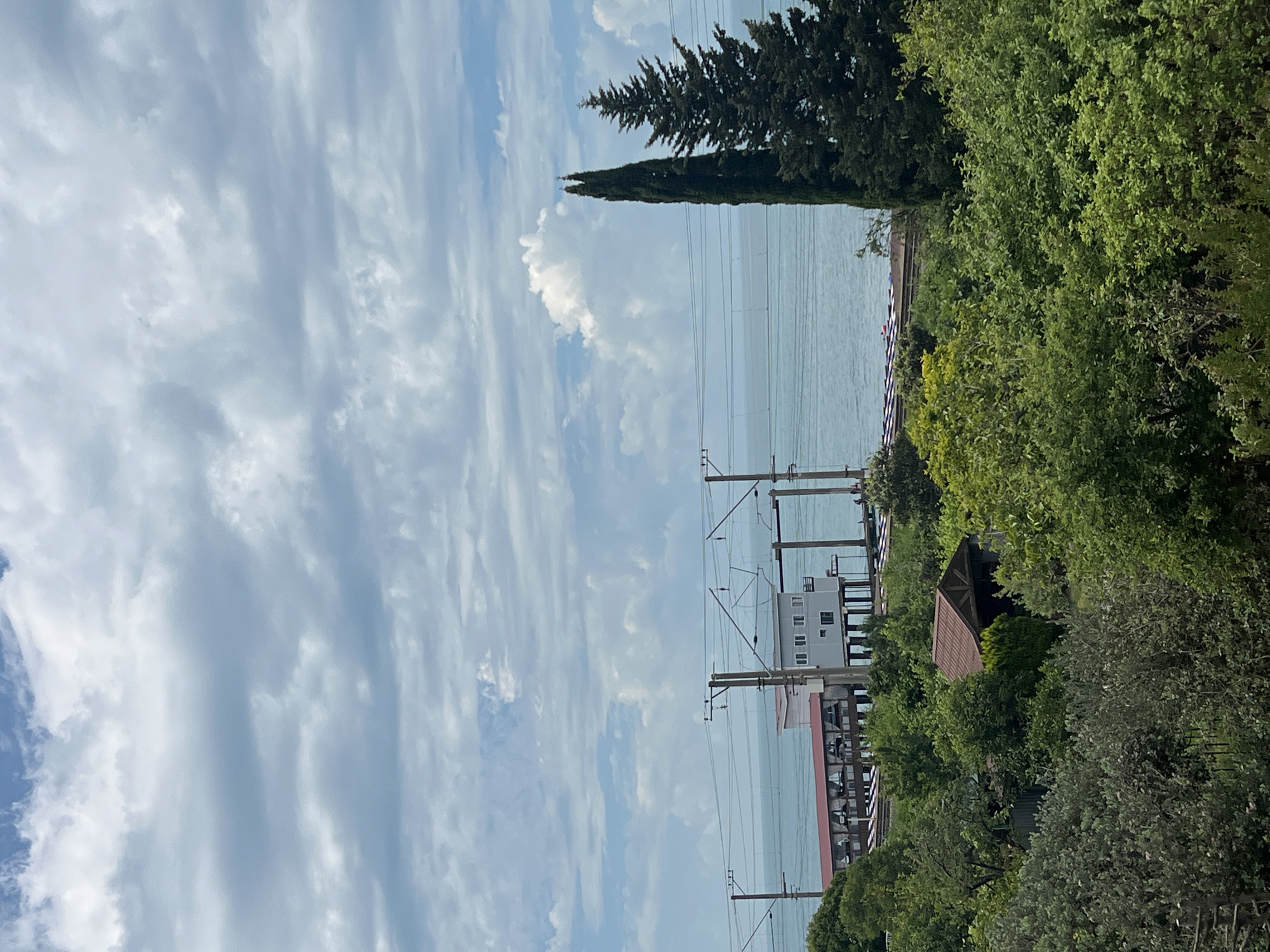 A vertical, high-angle shot captures a cloudy sky over a body of water, with a dense forest in the foreground. The sea stretches across the mid-ground, with a clear horizon line beneath a sky filled with dramatic, layered clouds ranging from white to light gray. A coastal structure with a red roof is visible on the left, juxtaposed with a white, multi-story building on stilts to its right. Train tracks and electrical wires run horizontally across the scene, connecting the structures to the land. Two tall, dark green coniferous trees stand prominently on the right, framing the coastal view. The foreground is dominated by a lush, green forest with varied textures and shades of foliage, including a small, brown-roofed structure peeking through the trees.