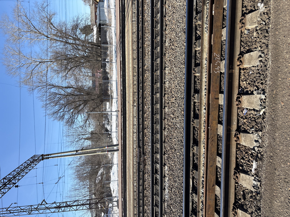 The image depicts a railway scene in Kropachyovo, Russia, under a clear blue sky. In the foreground, multiple sets of parallel railroad tracks are visible, consisting of dark metal rails, light-colored concrete sleepers, and dark gravel ballast. One track in the lower middle features a horizontally placed, rusted metal beam between its rails, marked with white text "225.93". Small pieces of light-colored litter are scattered within the ballast.
Midground elements include a raised, dark-edged railway platform, beyond which additional tracks extend. Further into the background, a strip of snow-covered ground is present, partially obscured by a chain-link fence. Numerous bare deciduous trees with visible branches dominate the background, some significantly taller than others. Through and beyond the trees, elements of residential or industrial structures are partially discernible, including rooflines and walls. Two tall, light-colored poles supporting overhead electrification structures and multiple wires rise prominently from the midground, extending upwards and to the left across the bright blue sky. No individuals or active interactions are visible.