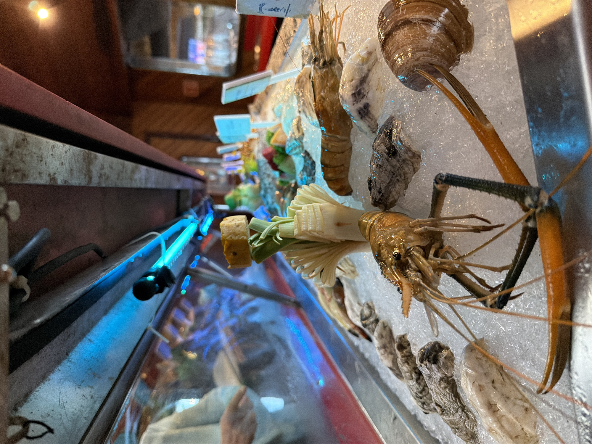 The image depicts a display of fresh seafood on ice in what appears to be a restaurant in Cancún, Mexico. In the foreground, a large prawn with prominent antennae and a large claw rests on ice, partially obscuring other seafood items. Behind it, several oysters and more prawns are visible, also arranged on a bed of crushed ice. The seafood display is illuminated by bright blue lights, casting a cool glow on the scene. In the background, a person's hand is visible reaching into a glass display case, suggesting interaction with the seafood. The overall environment suggests a high-end establishment specializing in fresh seafood, common in coastal cities like Cancún.
