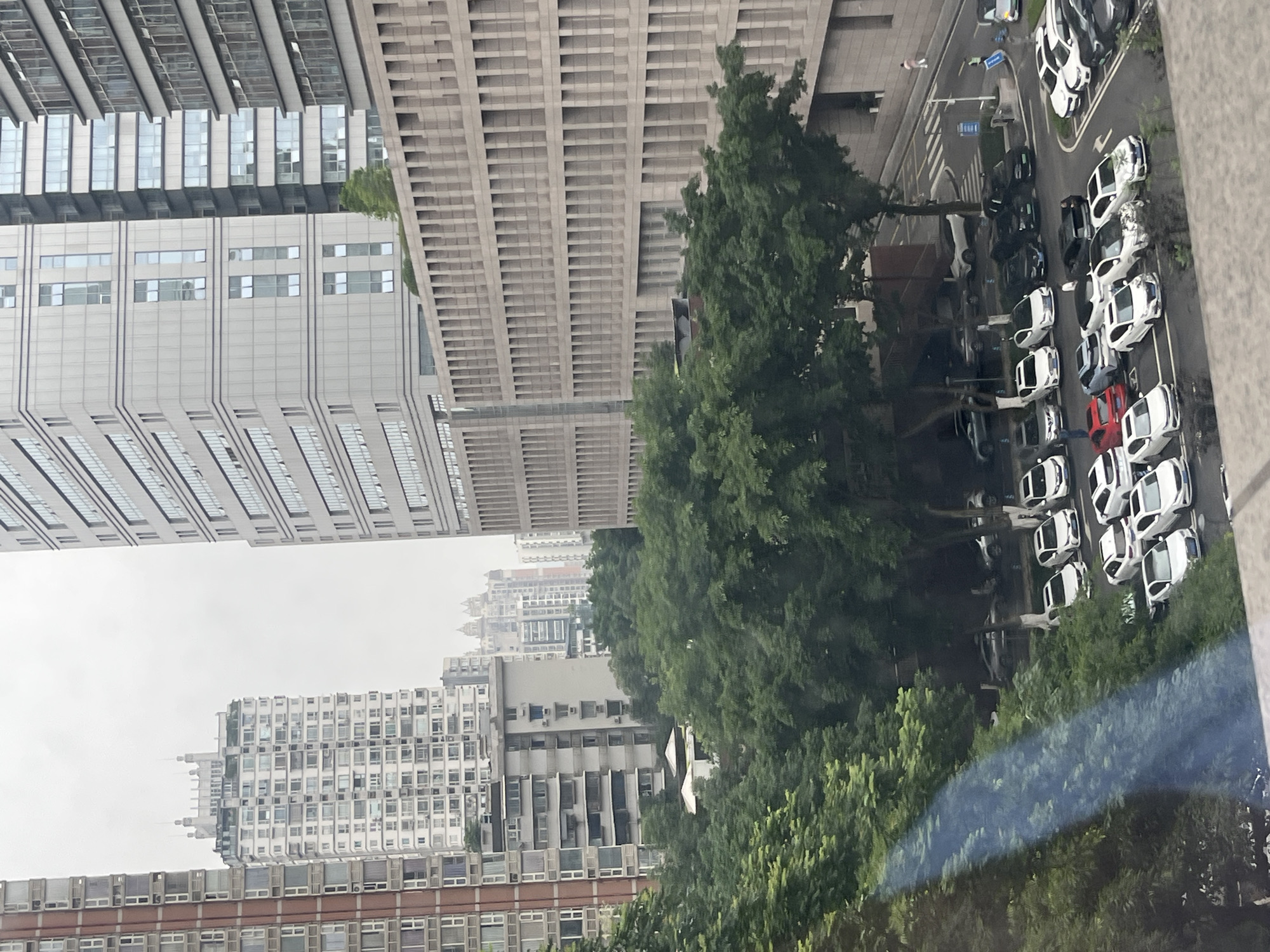 The image depicts a street scene in Yuzhong District, China, characterized by a dense urban environment with multiple tall buildings and a parked car lot. Dominating the background are several high-rise buildings, varying in architectural style and color. To the left, a reddish-brown building features a pattern of evenly spaced windows and balconies. Adjacent to it, a white high-rise with a more ornate top is visible. Further to the right, a large, modern building with a grid-like facade of windows and vertical elements occupies a significant portion of the frame. Another building with a similar grid design is partially visible behind it.
In the foreground and midground, a dense canopy of green trees partially obscures the lower floors of the buildings and a street level. Beneath the trees, a parking lot is filled with a variety of cars. Several white sedans are parked in orderly rows, some appearing to be newer models. Black sedans and SUVs are also present, interspersed with white vehicles. One red car is noticeable in the lot. A few individuals are visible in the parking lot and on a nearby street, including two people walking on a crosswalk near the right edge of the image, and one person standing near a blue cart. The sky appears overcast, suggesting a cloudy or hazy day. The overall impression is one of a bustling urban area with a mix of residential and commercial structures, interspersed with greenery.