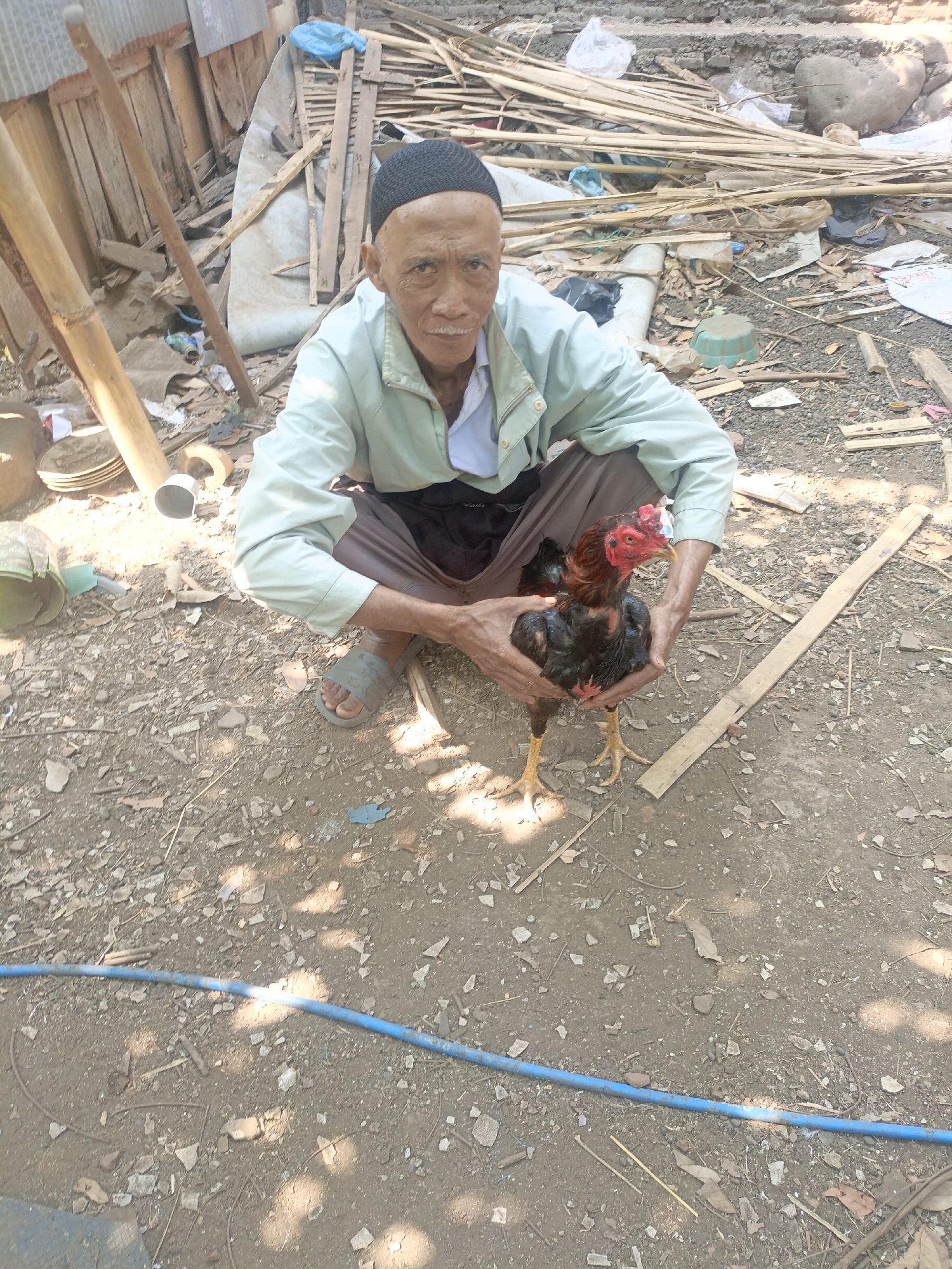 An elderly Indonesian man with a dark skullcap and light blue shirt is squatting on the ground in a cluttered outdoor area, holding a rooster. The man's face is wrinkled, and he has a white mustache. He is looking directly at the camera. The rooster he is holding is black and red, with yellow legs. The ground is covered in dirt, small rocks, and debris, including pieces of wood, plastic bags, and dried leaves. In the background, there are piles of bamboo poles and other discarded materials, suggesting a workshop or storage area. A blue hose runs across the ground in the foreground. The overall impression is one of a rural or semi-rural environment, possibly in or near the city of Condong, Indonesia.