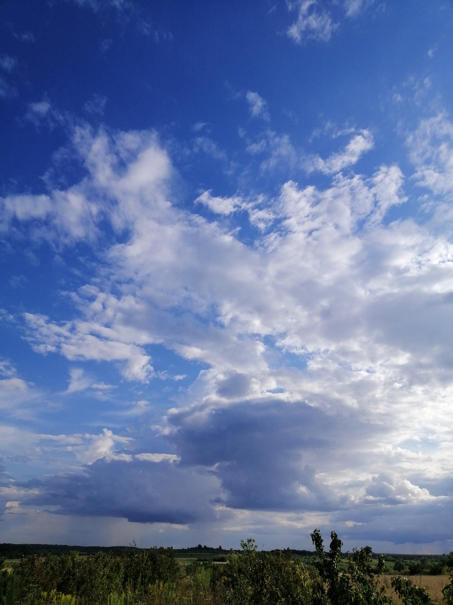 The image depicts a wide, open landscape under a dynamic sky. In the foreground, lush green vegetation, including bushes and tall grasses, stretches across the bottom of the frame. Beyond the vegetation, a flat, verdant terrain extends to the horizon, characterized by fields and scattered trees. The middle ground features rolling hills and more distant trees.
The dominant element of the image is the sky, which occupies the majority of the frame. It is a bright blue sky interspersed with a variety of clouds. Some clouds are small and wispy, while others are larger, more textured, and appear to be gathering, with some exhibiting dark grey, storm-like formations towards the center and right of the image. The lighting suggests it is either late afternoon or early evening, with the sun casting a warm glow on some of the clouds, creating a contrast between light and shadow.
The scene is devoid of any visible people, structures, or vehicles, presenting a natural, unpopulated environment. The overall impression is one of a vast, open sky above a rural landscape, possibly just before or after a weather event. The location is specified as Mali Kuskivtsi, Ukraine.