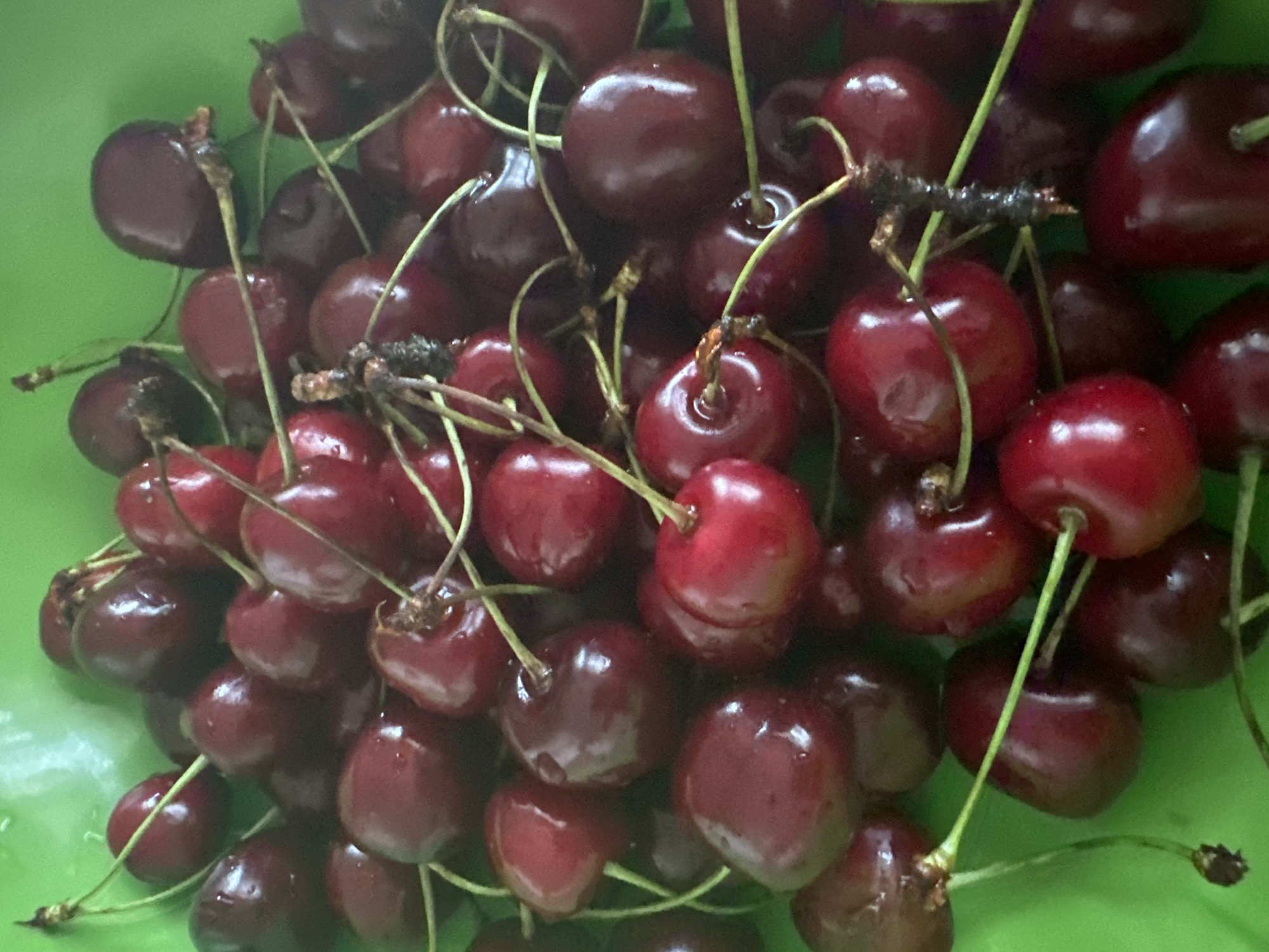 The image shows a close-up, top-down view of a bright green bowl filled with dark red cherries. The cherries are plump and have a glossy sheen, indicating they are fresh. Some of the cherries still have their green stems attached, which are thin and delicate. The lighting suggests an indoor setting, possibly a kitchen. The image is a still life, focusing on the texture and color of the fruit. The cherries are clustered together, with some overlapping. The bowl itself is a vibrant green, providing a strong contrast to the deep red of the cherries. There are no people or animals visible in the image, and the scene is static.