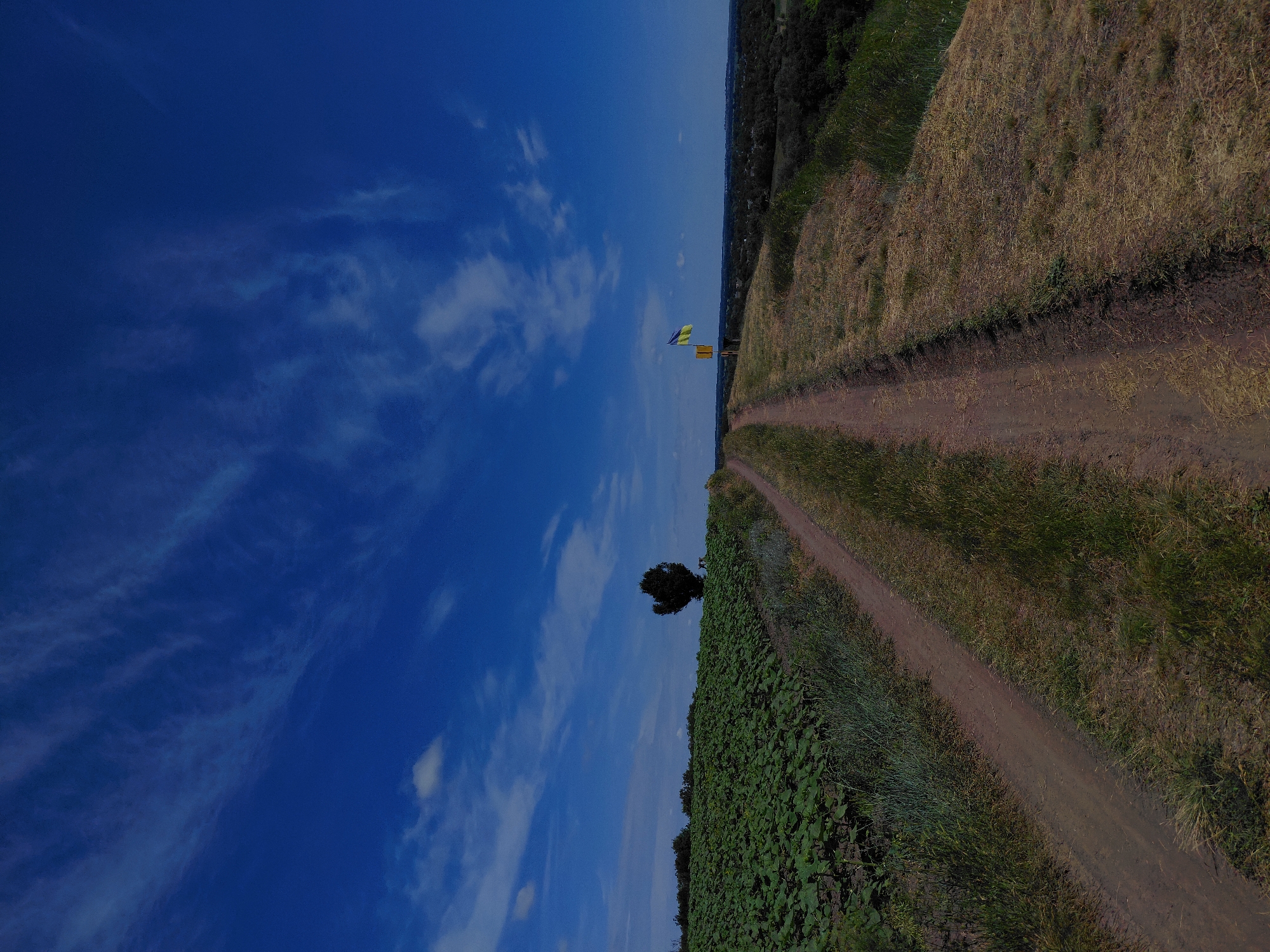 An outdoor, wide-angle, vertical shot captures a dirt road winding uphill through a rural landscape under a bright blue sky with wispy white clouds. The road is rutted and flanked by dry grass and some green vegetation. To the left of the road, a field of green crops, possibly sunflowers, stretches into the distance. A solitary, dark tree stands in the middle distance on the left side of the road. Further up the road, on the right side, a yellow and blue Ukrainian flag is prominently displayed on a pole, accompanied by a yellow sign. The background shows a verdant, rolling landscape with scattered trees and evidence of a village or town. The scene suggests a location in Ustyvytsia, Ukraine.