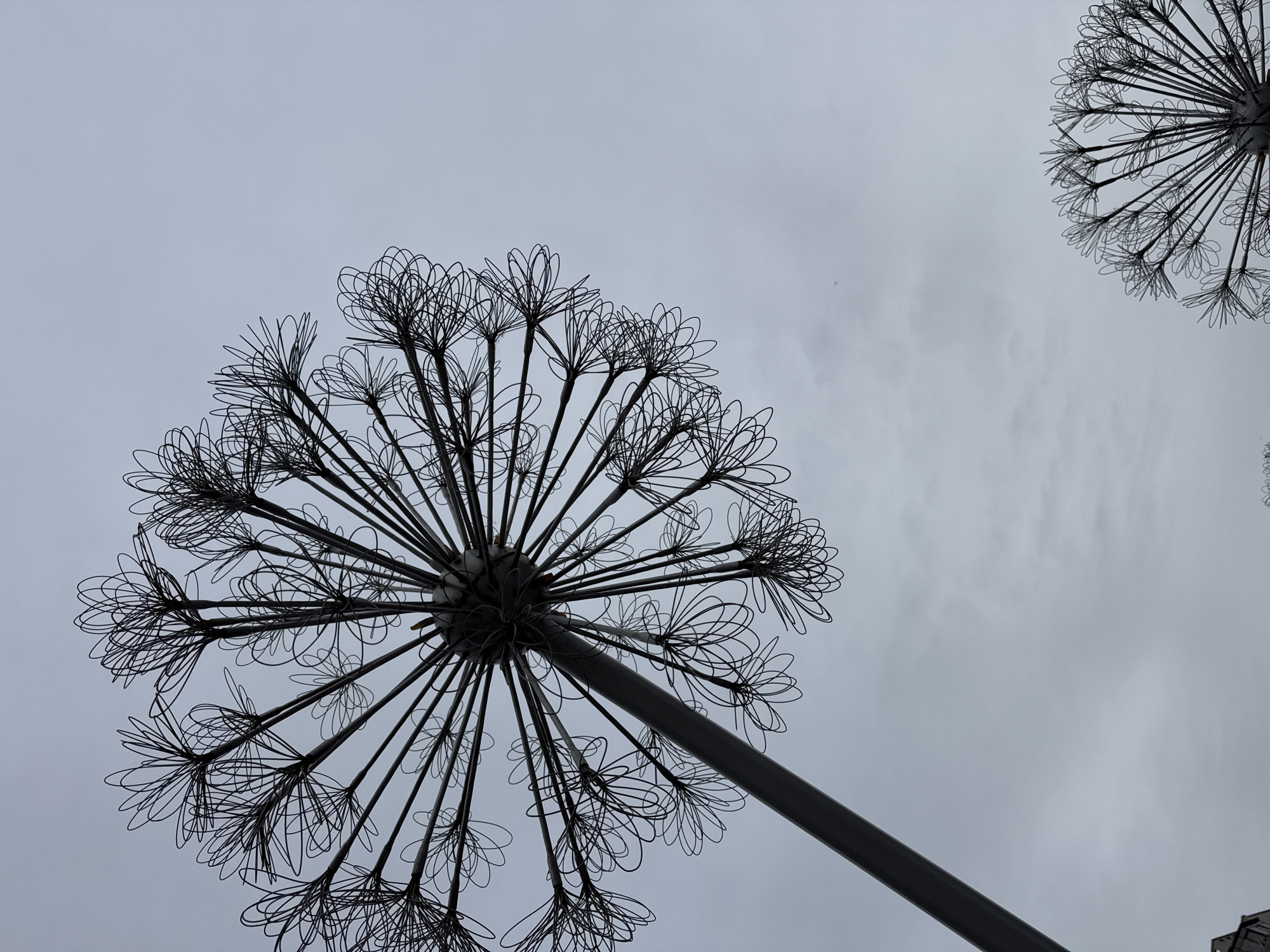 A large, intricate metallic sculpture resembling a dandelion or an exploded seed head dominates the frame, captured from a low-angle perspective against an overcast sky. A thick, dark grey metallic stalk extends diagonally from the lower-center towards the upper-left. From a central hub, numerous thinner rods radiate outwards, each terminating in a delicate cluster of looping, black wire shapes that form an open, flower-like or seed-like structure. The sculpture is starkly silhouetted against the bright, diffused light of the heavily clouded, grey sky.
In the upper-right corner, a fragment of another similar sculpture is visible, suggesting multiple such installations. The sky is uniformly overcast, indicating a daytime setting without direct sunlight. There is no human activity depicted, focusing solely on the static artwork. A small, barely discernible dark shape, possibly a building or structure, can be seen in the very bottom right corner of the original image. The overall impression is one of modern public art, likely located in Vinnytsia, Ukraine, where such "Dandelion Sculptures" are known landmarks. No text is visible in the image.