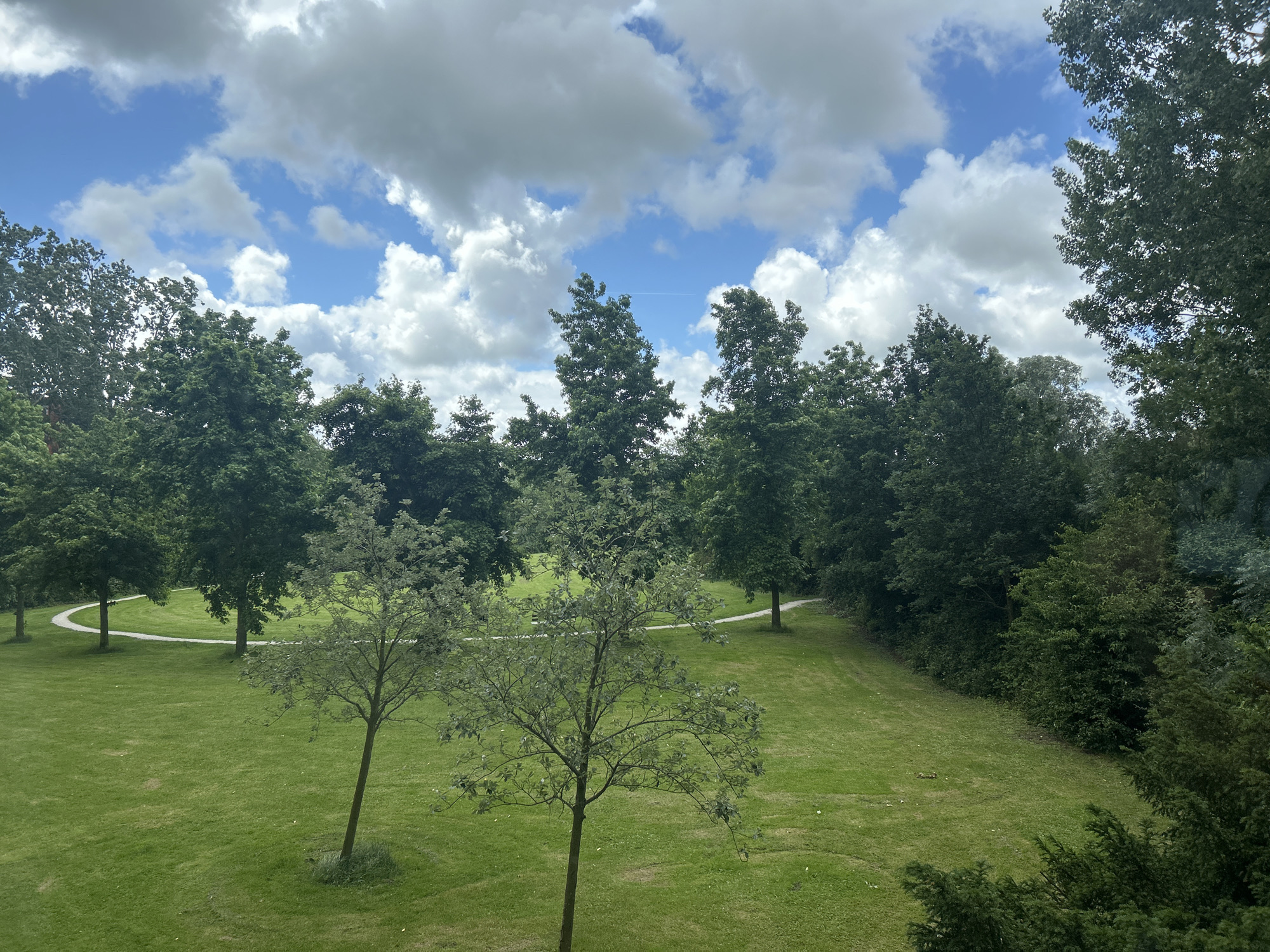 The image depicts a park scene with a curved pathway winding through a lush green lawn. Several trees with dense green foliage are scattered across the landscape, some lining the pathway and others forming a denser wooded area in the background. The sky is a vibrant blue, dotted with fluffy white clouds, suggesting fair weather. The overall impression is one of a tranquil, natural setting, likely a public park. No specific landmarks or clues place this image within the city of Leiden, Netherlands.
