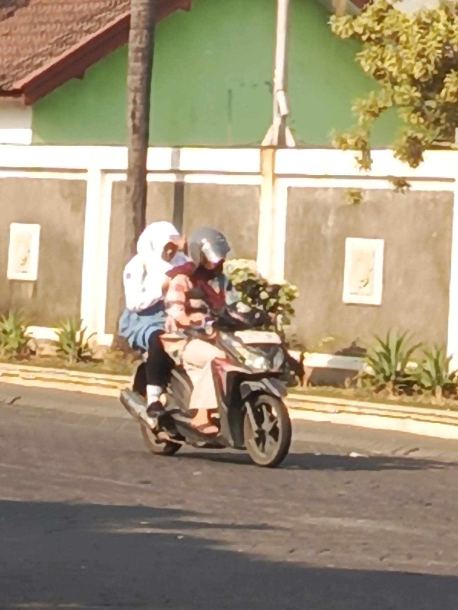 Two individuals are riding a motorcycle on a paved road. The person in the front is wearing a helmet and a pink and orange patterned shirt, with a dark red scarf around their neck. They are operating the motorcycle. The person behind is wearing a white hijab and a blue skirt. They are holding onto the person in front. In front of the person in the back, there are green plants on the motorcycle. The background shows a building with a brown tiled roof and a green painted wall, with a light-colored wall below it. There are also some plants and a tree trunk visible. The scene appears to be in an outdoor urban or suburban environment.