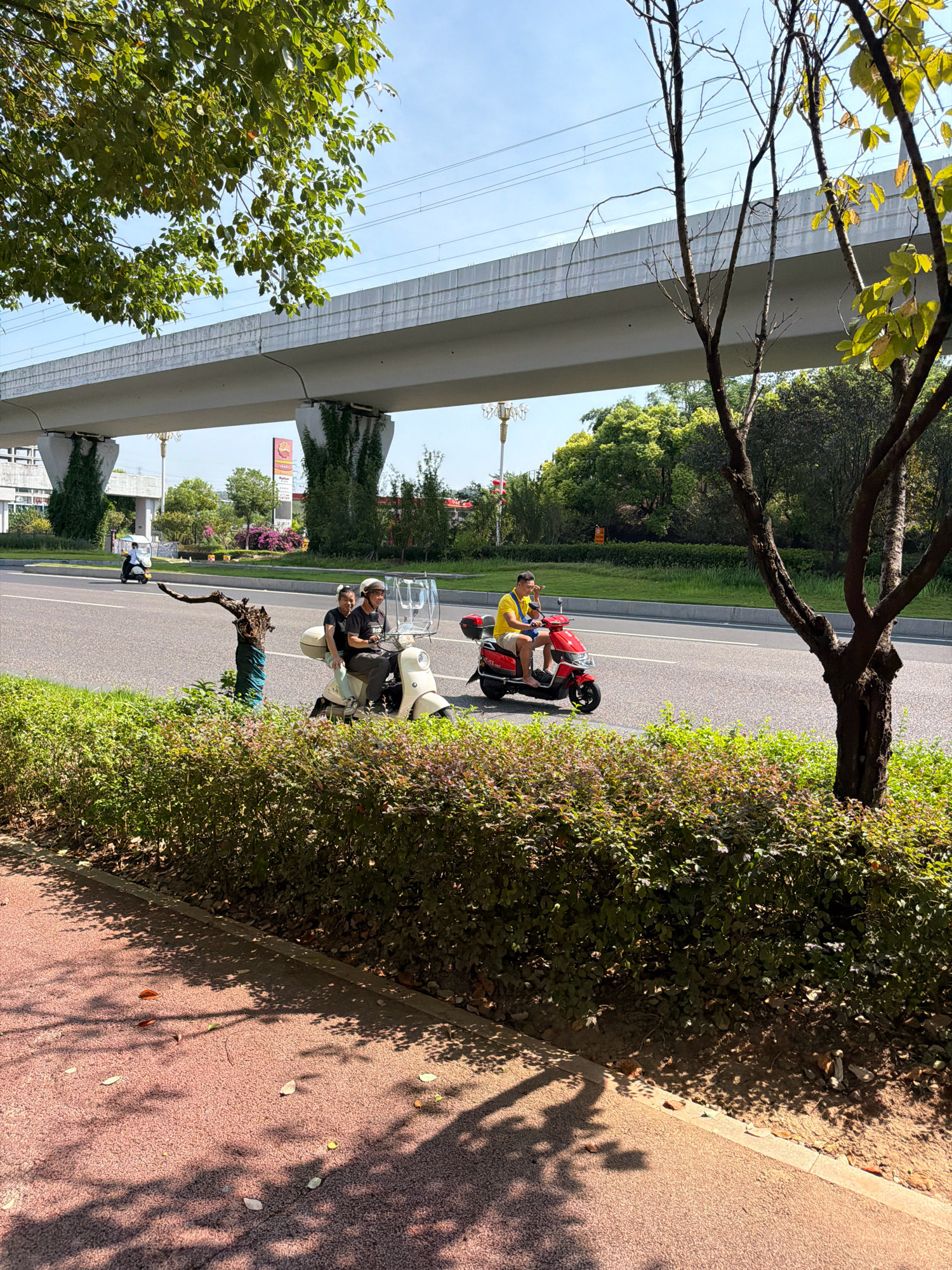 This is a street-level, eye-level, medium shot photograph taken in Jiangjin, China, on a sunny day. The scene captures a street with an elevated overpass or bridge structure in the background. In the foreground, a paved walkway with shadows of leaves and trees is visible, bordered by a dense hedge. On the asphalt road, two electric scooters are present. The scooter on the left carries two individuals, a driver and a passenger, both wearing dark clothing. The scooter on the right is ridden by a single person wearing a yellow shirt and light-colored shorts. They are moving away from the viewer. In the mid-ground, traffic lanes are marked, and another scooter with a single rider is seen further down the road. The overpass is supported by large concrete pillars covered in ivy. Lush green trees and vegetation line the sides of the road. A street lamp is visible to the left of the overpass supports. The sky is clear and blue.