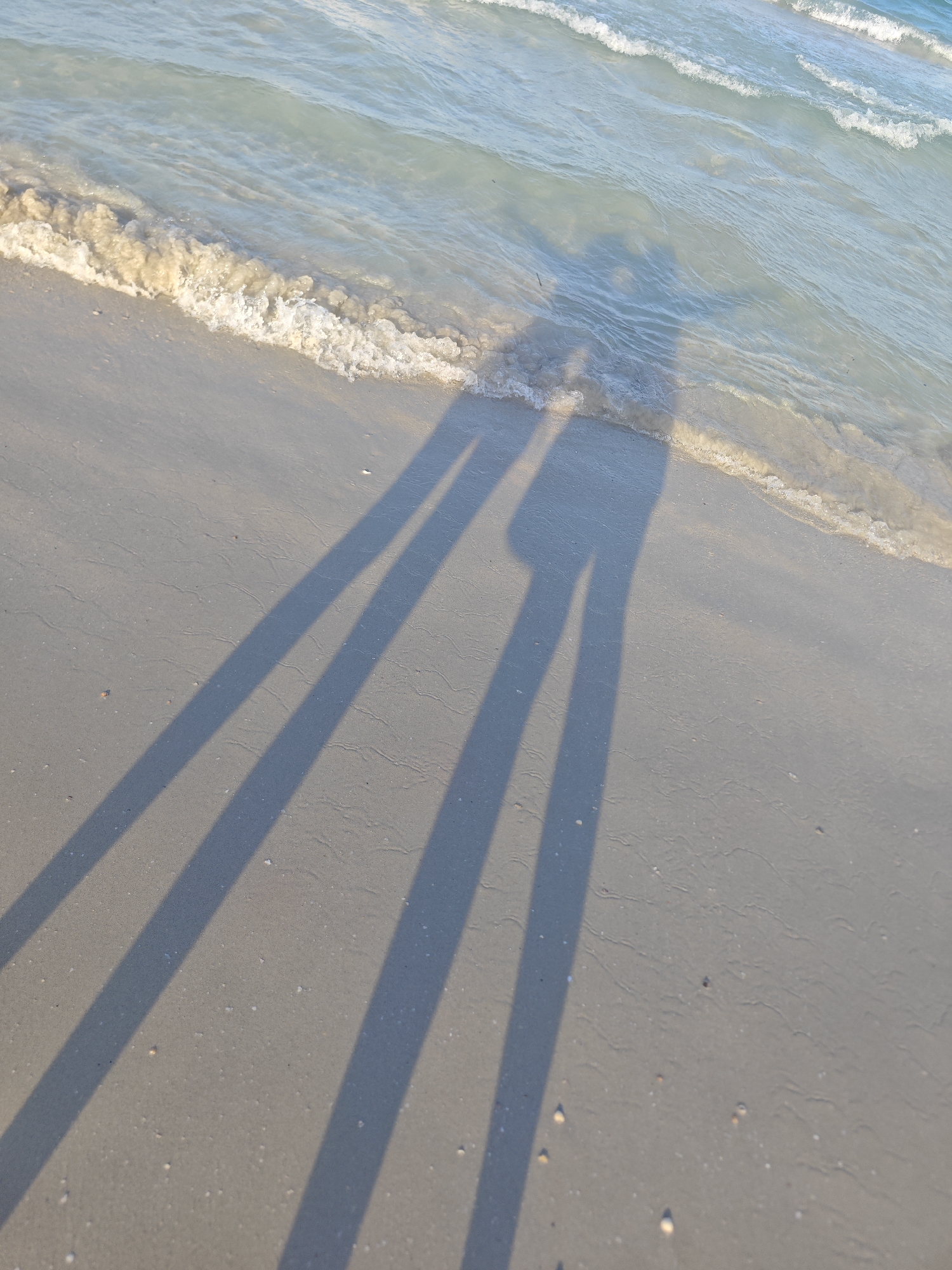 Two elongated shadows of people are cast on the sandy beach of Mahdia, Tunisia, with the gentle waves of the Mediterranean Sea lapping at the shore. The water is a pale blue and appears shallow near the coast. The sand is light brown and slightly damp where it meets the water, with subtle ripples from the receding tide. The shadows suggest the presence of two individuals, their forms indistinct, standing close to each other. The light source, presumably the sun, is low, creating the long shadows stretching across the sand. The overall scene conveys a peaceful and serene atmosphere of a beach at either dawn or dusk.