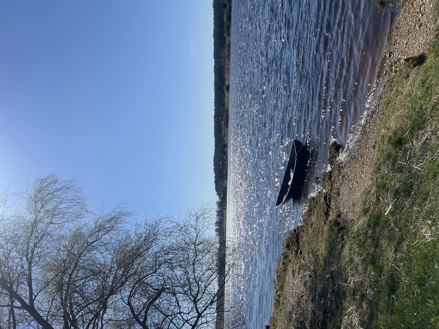 The image, originally rotated, depicts a bright and serene outdoor landscape, likely in Riga, Latvia, showing a body of water under a clear sky. A small, dark-colored boat, possibly a canoe or kayak, is partially beached on the right shoreline, with its stern in the shimmering water and bow resting on the gravelly and grassy bank. The water's surface reflects intense sunlight, creating numerous sparkling highlights across its expanse. The bank features a mix of earth, small stones, and sparse patches of green and dry grass. On the left side of the frame, the intricate, bare branches of several trees are silhouetted against a vast, cloudless blue sky, suggesting either early spring or late autumn. A distant treeline is visible across the water on the horizon. The scene is bathed in bright daylight, indicative of a sunny morning or afternoon. No people are visible, and no specific activity is explicitly occurring beyond the boat resting at the shore. There is no visible text in the image. The overall impression is one of peaceful natural beauty.