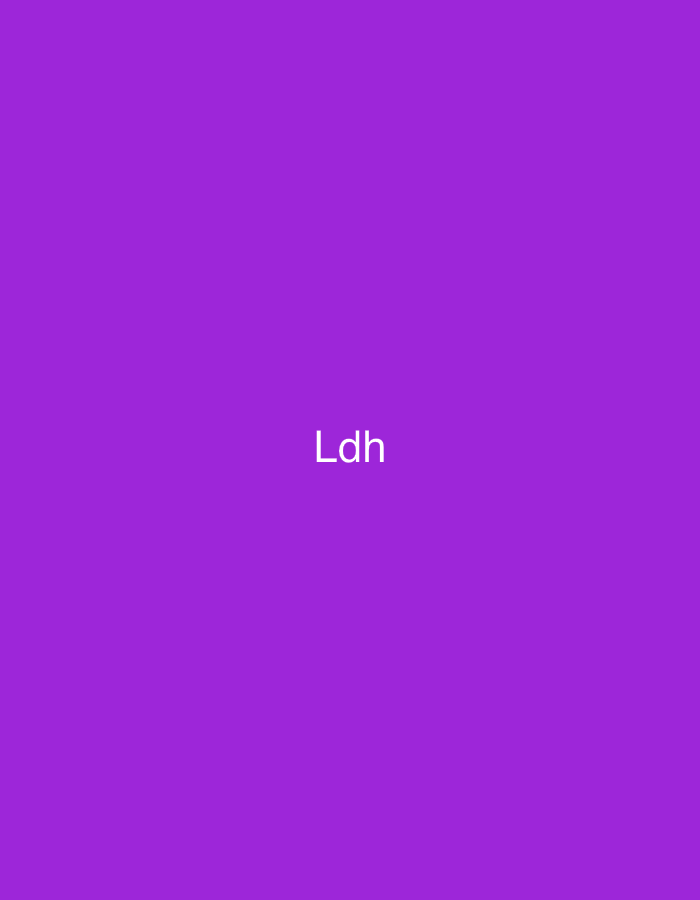 The image is a digital graphic featuring a solid purple background. Centered horizontally and slightly below the vertical midpoint of the frame, the white sans-serif letters "Ldh" are displayed. No people, objects other than the text, actions, or interactions are present. The environment is an abstract digital canvas. This graphic image is presented in the context of the city of Casablanca, Morocco.