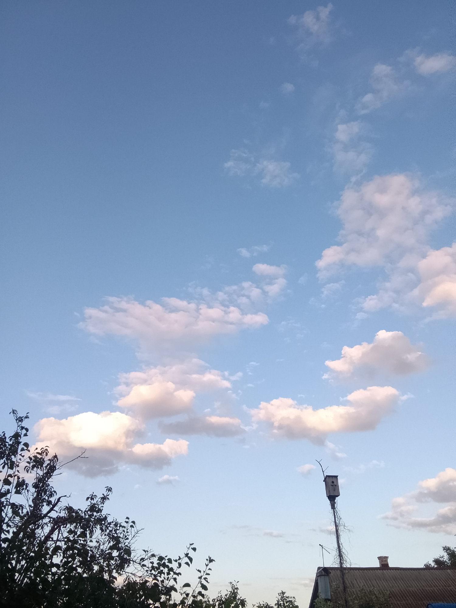 The image shows a clear sky with scattered white and pinkish clouds. In the foreground, there is the silhouette of dark green foliage from trees on the left side, and on the right side, a birdhouse is mounted on a pole above a corrugated roof. The birdhouse is rectangular with a small opening. A chimney is visible on the roof. The overall scene appears to be an outdoor setting, possibly a backyard or rural area, with the sky as the dominant element. The lighting suggests it is either early morning or late afternoon. No people are visible in the image. The location is identified as Volgograd, Russia.
