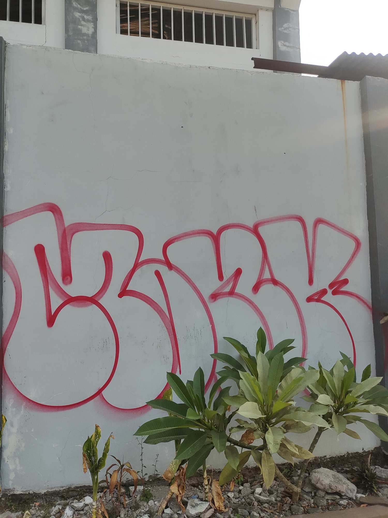 The image captures a section of a light gray concrete wall with red graffiti spray-painted onto its surface. The graffiti consists of large, stylized letters with rounded shapes and thick red outlines. In front of the wall, several potted plants with green and variegated leaves are situated. The ground beneath the plants is covered with rocks and debris. In the background, a portion of a white building with barred windows is visible. The scene appears to be outdoors, possibly in an urban setting in Cirebon, Indonesia, given the context provided, though no specific Cirebon landmarks are identifiable. The lighting suggests it is daytime, with a hint of sunlight visible on the right side of the image.