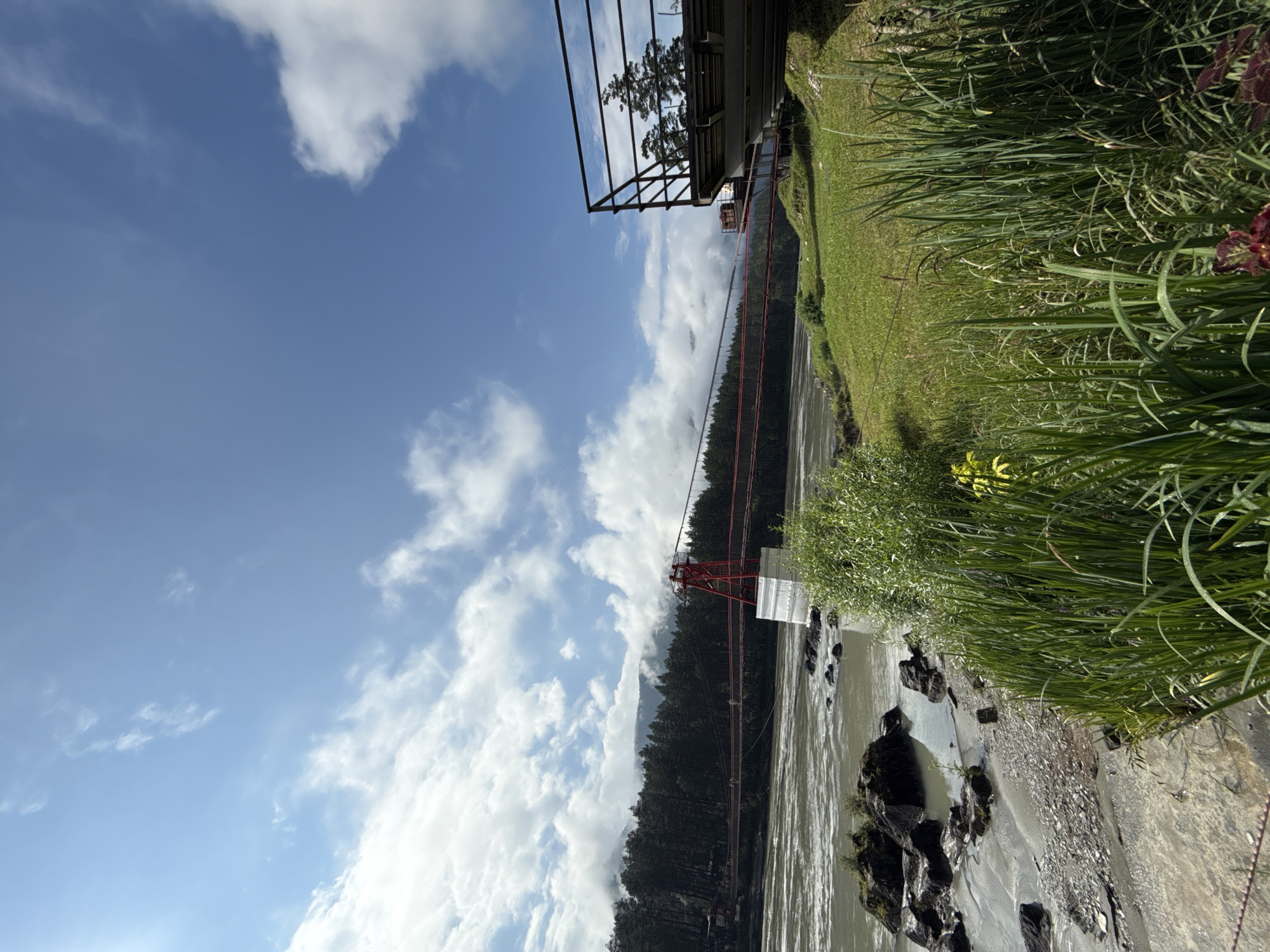 The image depicts a wide, muddy river flowing past a grassy bank lined with tall green reeds and other vegetation. In the middle ground, a red suspension bridge spans the river, supported by a red tower. The bridge has a walkway with railings, and a few people can be seen walking on it. On the right side of the image, a metal observation deck with railings overlooks the river and the bridge. The background features a dense forest of dark green trees leading up to a mountain range partially obscured by clouds. The sky is a bright blue with scattered white clouds. The scene is located in Barangol, Russia.
