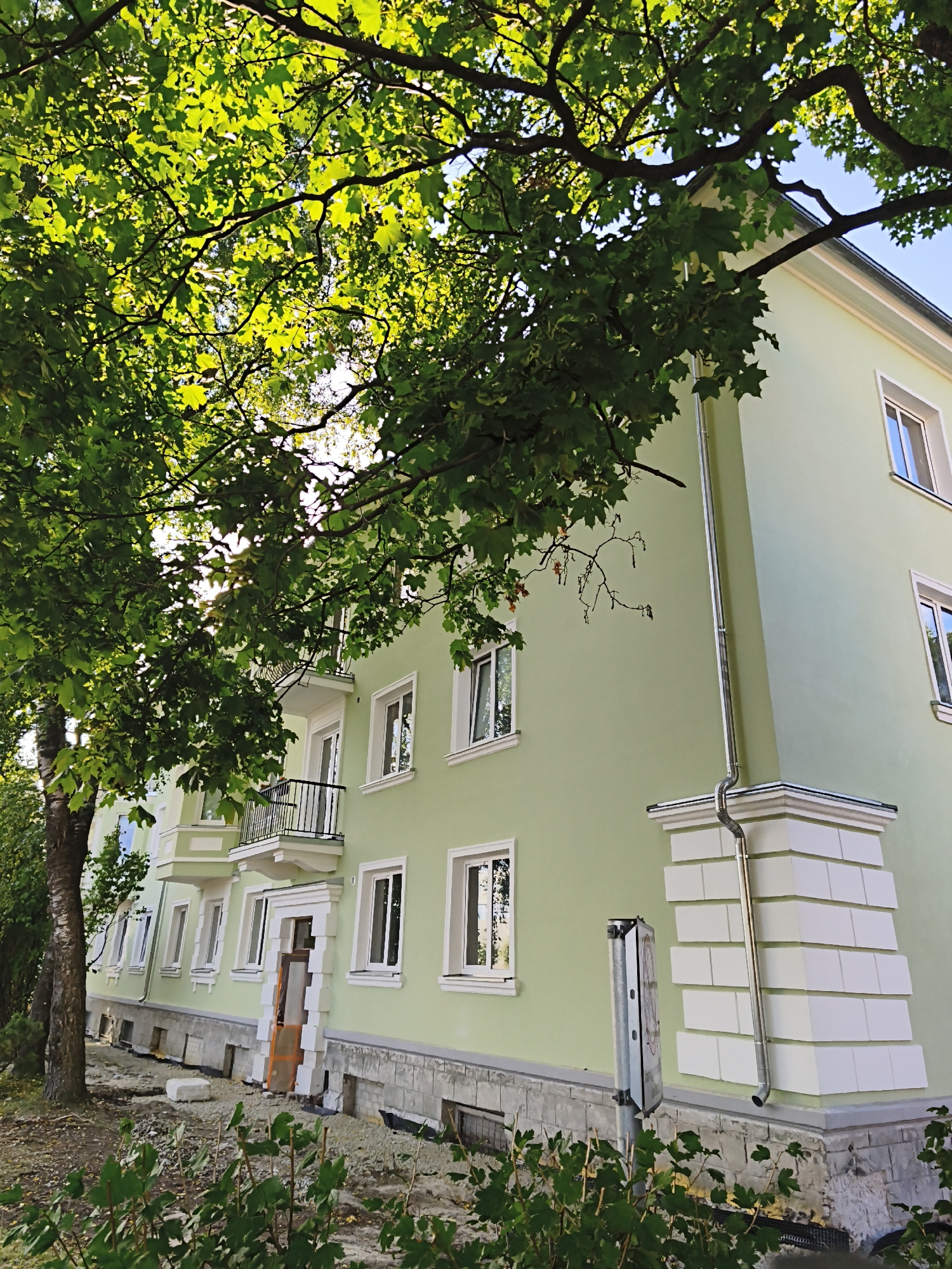 The image depicts the exterior of a light green apartment building with white trim around the windows and balconies. The building is partially obscured by the branches and leaves of a large tree in the foreground, with sunlight filtering through the foliage. The building has multiple stories, with several windows visible on each level, some with open shutters. There are at least two balconies with black metal railings. At the base of the building, there is a stone foundation, and the ground in front appears to be under construction, with loose stones and debris. A metal downspout runs along the side of the building. A metal pole with signage is visible in front of the building. The sky is clear and blue. The scene suggests an urban environment, possibly a residential area in Tallinn, Estonia, with some ongoing renovation or landscaping work.
