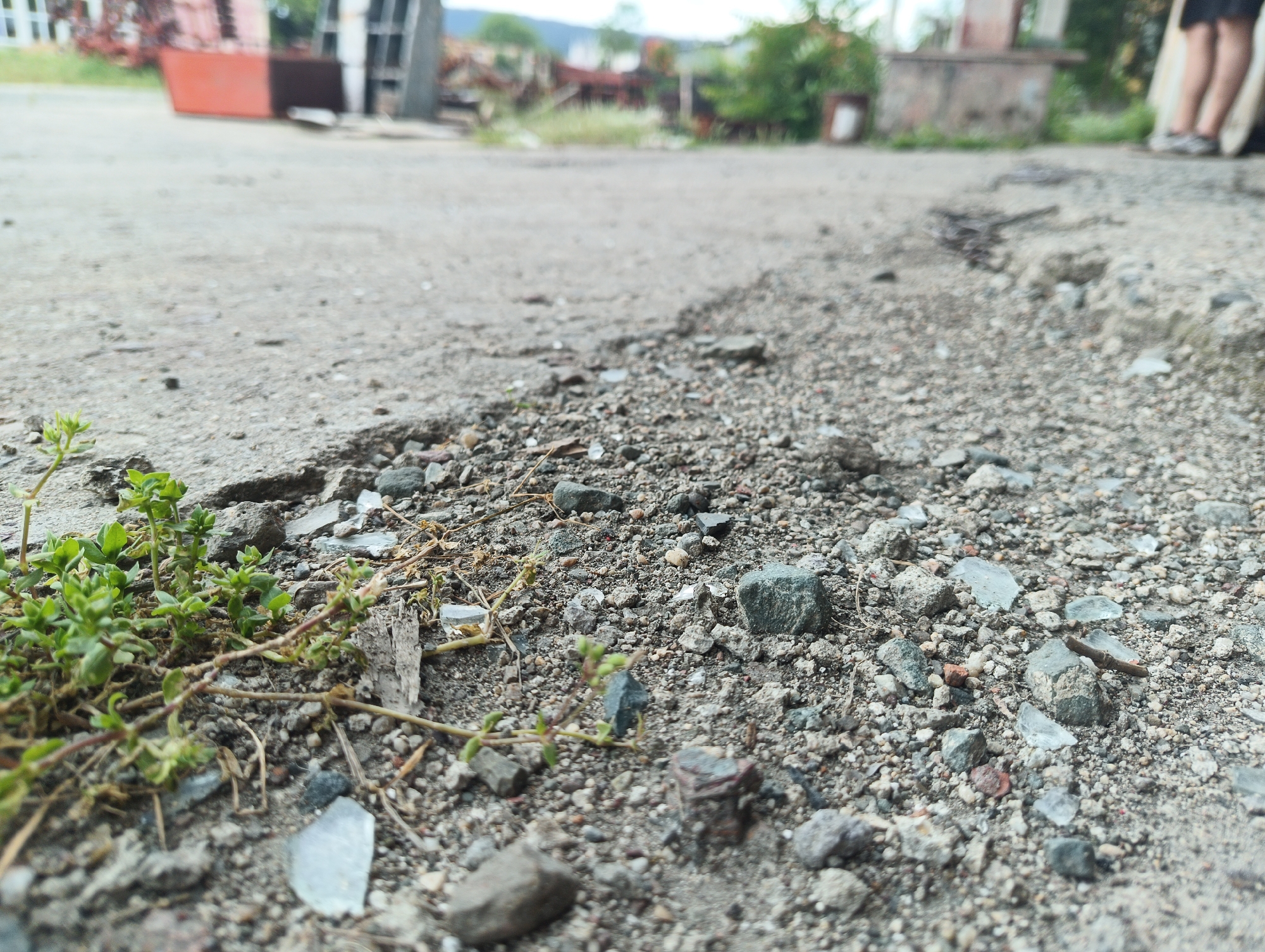 The image shows a close-up view of a deteriorating asphalt surface transitioning into loose gravel and small rocks. In the foreground, small green plants grow along the edge where the asphalt breaks down. Fragments of glass are scattered among the gravel. In the blurred background, indistinct structures and vegetation suggest an urban or industrial setting. A person's legs are visible on the right. The location appears to be an area of disrepair or neglect within an unidentified city.