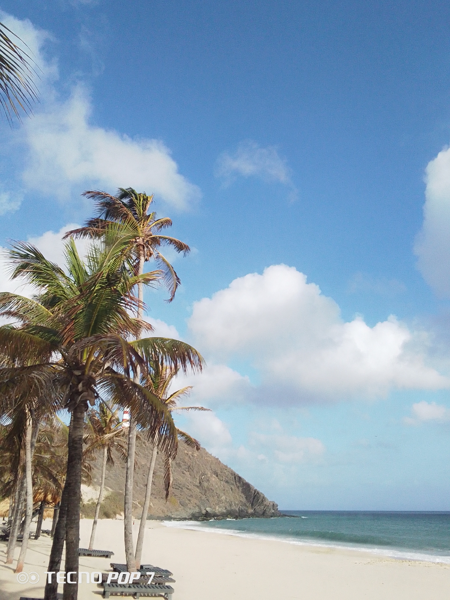The image depicts a beach scene in Pedro González, Venezuela. The foreground features palm trees lining the sandy shore. Beach loungers are scattered beneath the palm trees. Beyond the beach, the ocean stretches to the horizon, meeting a sky filled with scattered clouds. A rocky headland juts into the ocean at the edge of the beach. A small structure resembling a lighthouse is visible amidst the trees.