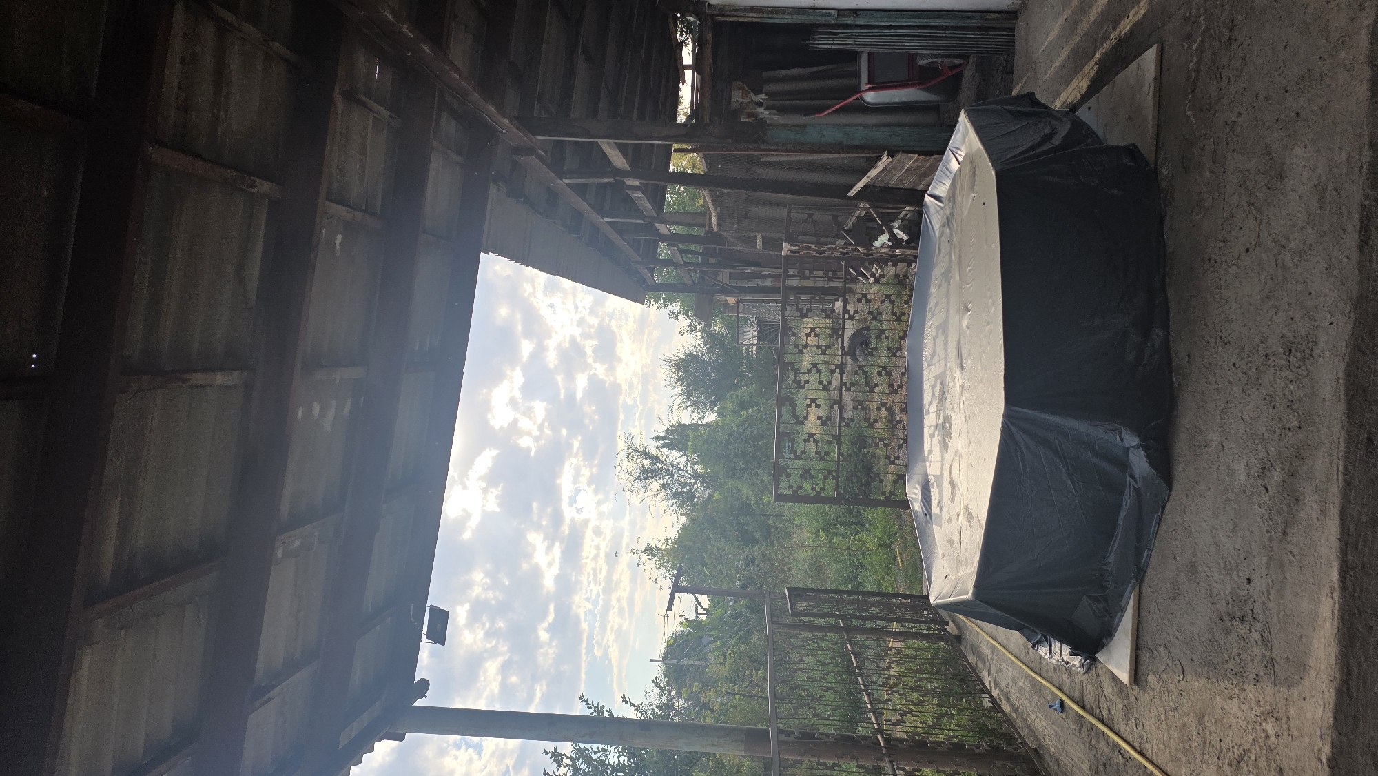 The image depicts an outdoor scene, likely a backyard or workshop area, under a rustic, covered structure. The structure's roof is made of corrugated material supported by wooden beams, with some areas showing wear and tear. In the foreground, a large, octagonal object is covered with a black tarp. The ground beneath the tarped object appears to be concrete. To the left of the covered object, a yellow hose is visible on the ground. Beyond the covered object, a metal fence with decorative elements separates the immediate area from a densely vegetated backyard. Trees and bushes fill the background, with a partly cloudy sky overhead. The overall impression is one of a functional outdoor space, possibly for storage or a DIY project, in a somewhat rural or suburban setting. The location is specified as the city of Chuy, Kyrgyzstan. There are no people visible in the image.