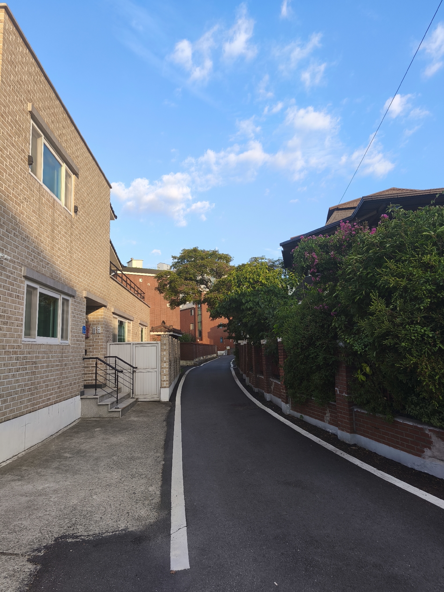 The image shows a narrow, paved street winding through a residential area in Asan-si, South Korea. On the left, a two-story building with light brown brick facade and white-framed windows is visible. A concrete walkway runs alongside the building, leading to a set of stairs with black metal railings and a white double gate. The street itself is asphalt with a white line marking the edge. On the right side of the street, a brick wall topped with lush green bushes and some flowering pink plants borders another property. Beyond the bushes, a dark-tiled roof of a house is visible, and further in the background, there are other buildings, including a taller brick building. Several trees are scattered throughout the scene, with one large tree with green foliage prominently featured in the mid-ground. The sky is clear blue with scattered white clouds, indicating daytime. No people or vehicles are present in the image.