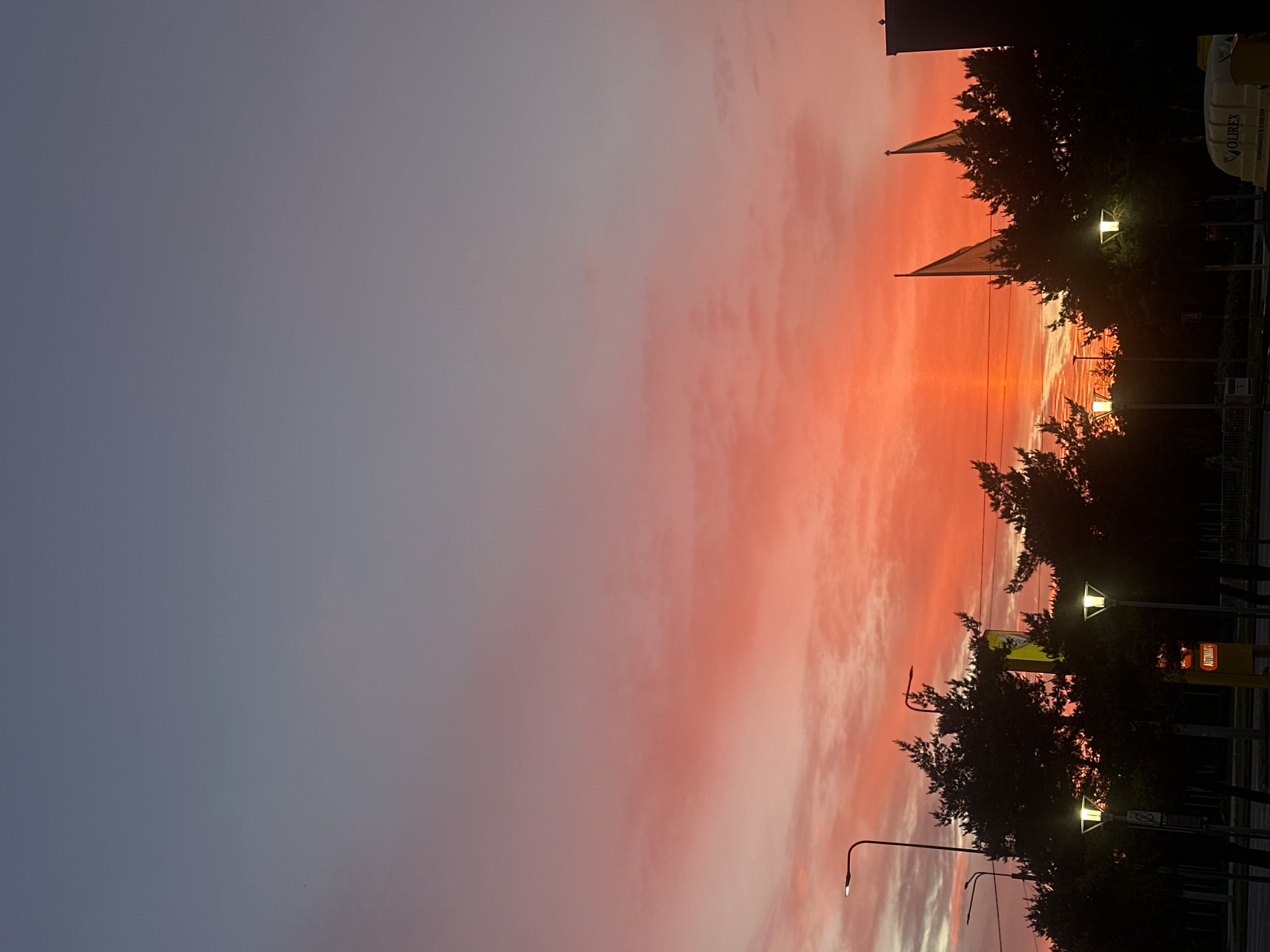 The image shows a vibrant sunset over Tallinn, Estonia. The sky is a gradient of deep blue at the top transitioning to bright orange and pink hues near the horizon, with streaks of clouds catching the last rays of sunlight. In the foreground, silhouetted trees line a street. Several streetlights with illuminated bulbs are visible among the trees, casting a warm glow. Two flags are partially visible, appearing to be on flagpoles behind the trees. A yellow sign with red lettering, possibly an advertisement or directional marker, is also present. The overall scene suggests an urban setting at dusk.