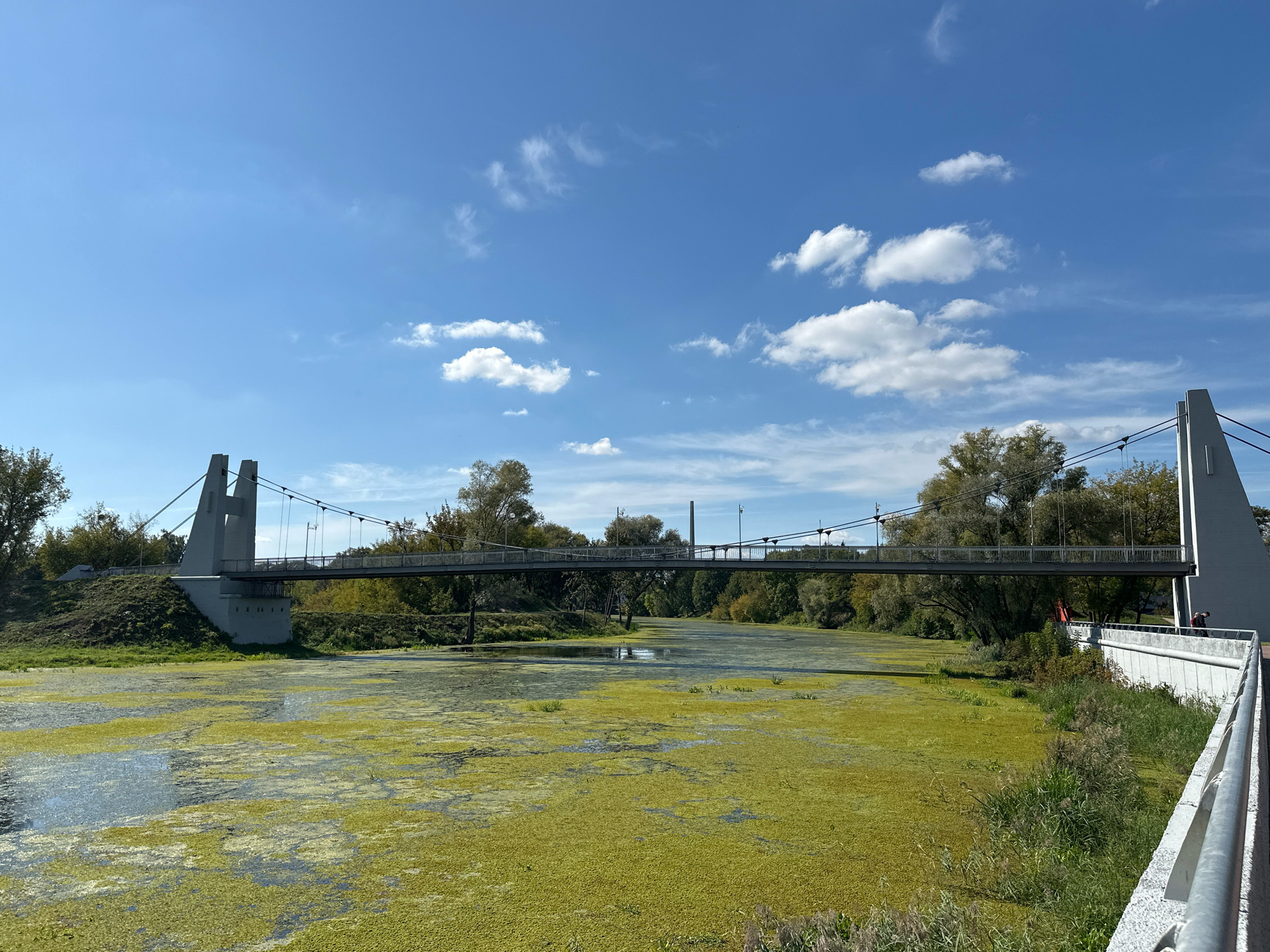 The image shows a suspension bridge over a river covered in green algae in the city of Brest, Belarus. The bridge has two tall, angular concrete pylons, from which cables suspend the deck. The river is wide and appears to be stagnant, with a thick layer of bright green aquatic plants covering much of its surface. Trees line the riverbanks, and the sky is blue with scattered white clouds. On the right side of the image, a walkway or promenade runs alongside the river, with a white railing. Two individuals are visible on the promenade, one standing and looking out over the river, and another partially obscured.
