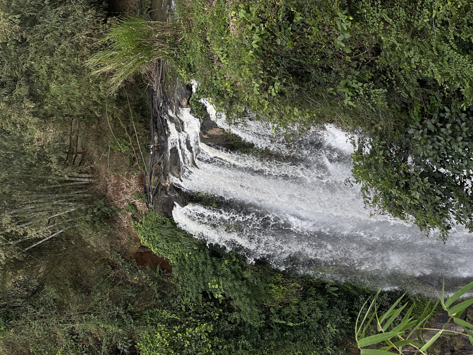 An outdoor vertical photograph captures a multi-tiered waterfall located in the city of Hòa Bình, Vietnam. The central and lower-left portions of the frame are dominated by white, turbulent water actively cascading over a series of dark, rocky ledges and plunging downwards. Dense, vibrant green tropical vegetation, comprising various species of trees, shrubs, and vines, flanks both sides of the waterfall and covers the surrounding terrain.
At the uppermost visible section of the waterfall, several dark-colored pipes or conduits are observed running horizontally across the rock surface, positioned directly upstream from the initial drop. To the immediate right of these pipes, a distinct cluster of tall, reedy green grass grows at the water's edge. The upper background features a steep hillside densely covered with bamboo trees and other green foliage; a segment of a light-colored wooden fence or railing is partially discernible amidst the background vegetation. The lower-left foreground displays broad green leaves, consistent with a bamboo plant. No individuals, actions, or interactions are present in the scene.