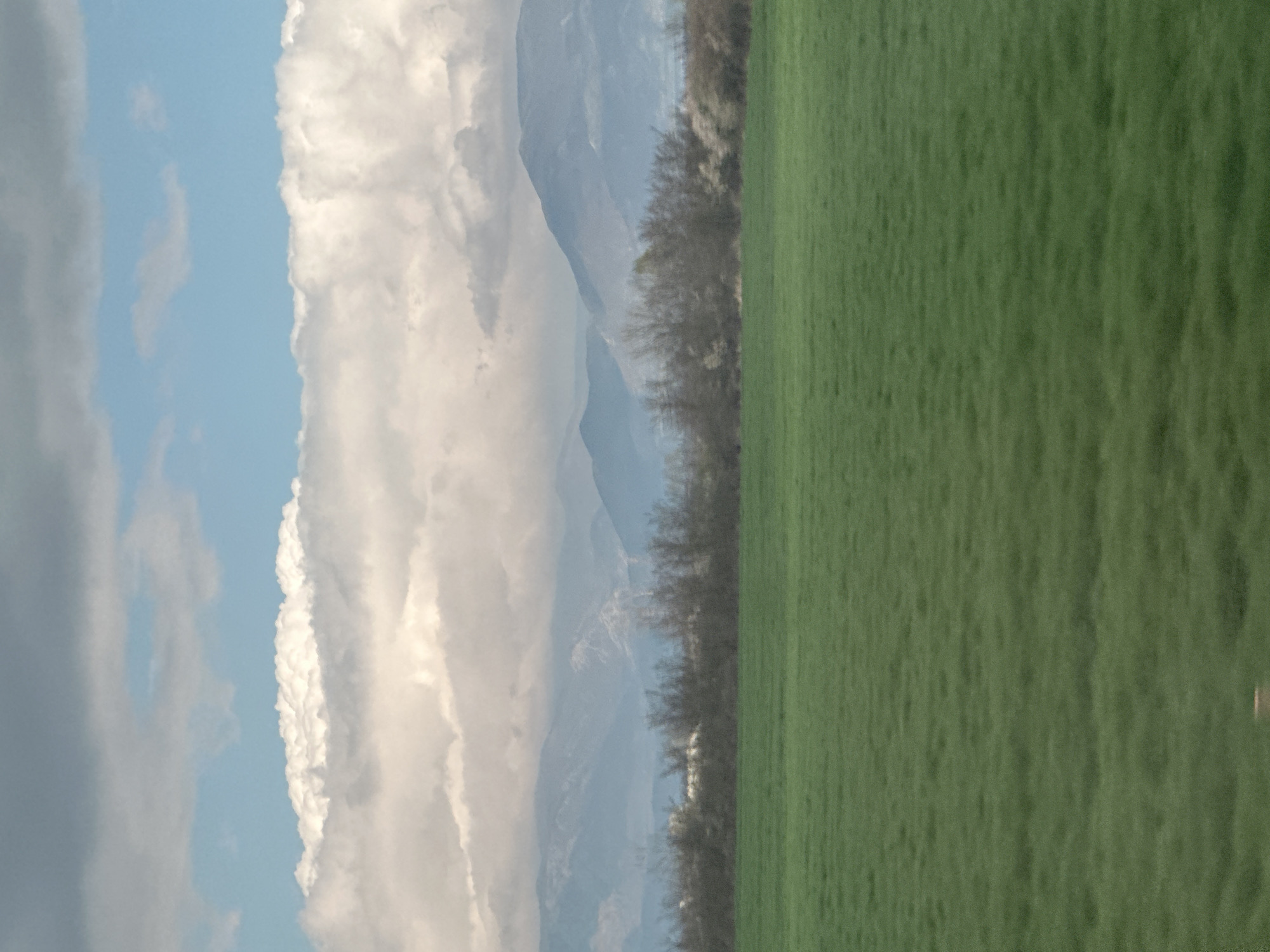 The image presents a landscape scene featuring a green field on the right, a row of trees in the center, and mountains partially obscured by clouds on the left. The sky above is visible in sections, showing blue with fluffy white clouds. It is impossible to verify the location of Zavoy, Bulgaria, due to the image's anonymity.