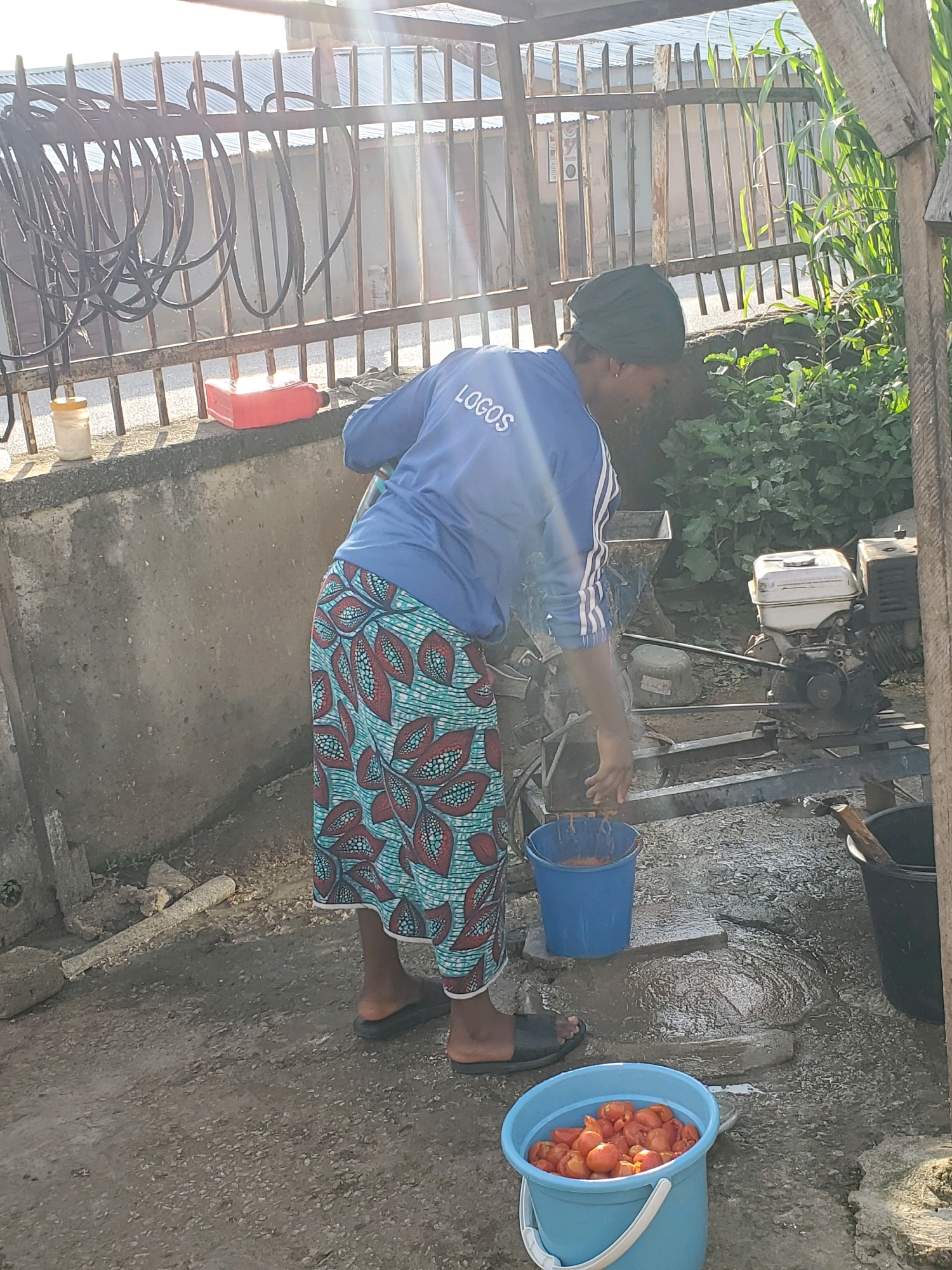 A person wearing a blue t-shirt with "LOGOS" printed on it and a patterned skirt is standing by a concrete structure. They are leaning over and appear to be washing something in a blue bucket. Another blue bucket filled with tomatoes is on the ground in front of them. In the background, there is a metal fence with hoses coiled on top, some plant growth, and a small engine. The ground is uneven and appears to be a mixture of dirt and concrete. The lighting suggests it is daytime, possibly late afternoon, with sunlight casting shadows. The scene is consistent with an outdoor preparation area, potentially in a rural or peri-urban setting within the city of Jos, Nigeria.