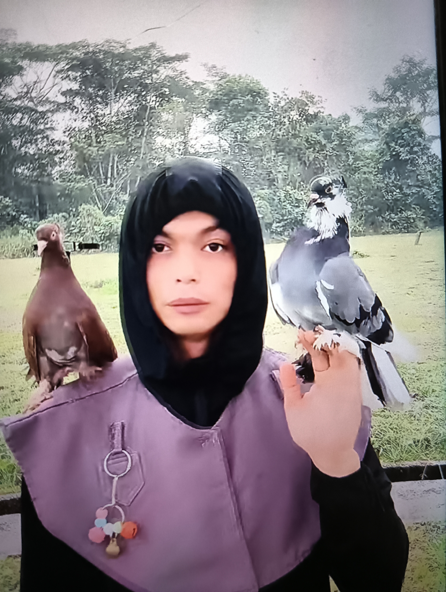 Memory