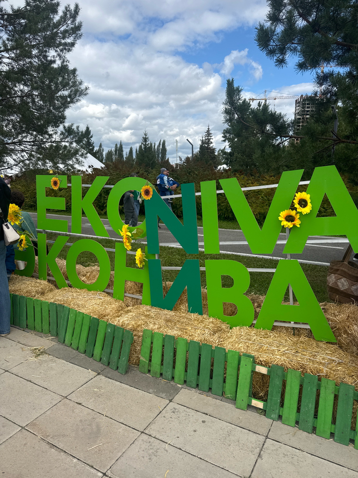 The image captures a vibrant outdoor scene with large, green, three-dimensional letters spelling out "EKO_NIVA" and "KONIVA" in two rows. These letters are adorned with artificial sunflowers. The display is set against a backdrop of trees and a cloudy sky, with glimpses of construction cranes in the distance, suggesting an urban or suburban environment. The letters are placed on a bed of hay, bordered by a small, green wooden fence and a paved walkway. In the background, several people are visible, some observing the display and others walking by. One person is holding a child. The overall impression is of an event or promotional setup, possibly related to agriculture or a local festival, situated in Ufa, Russia.