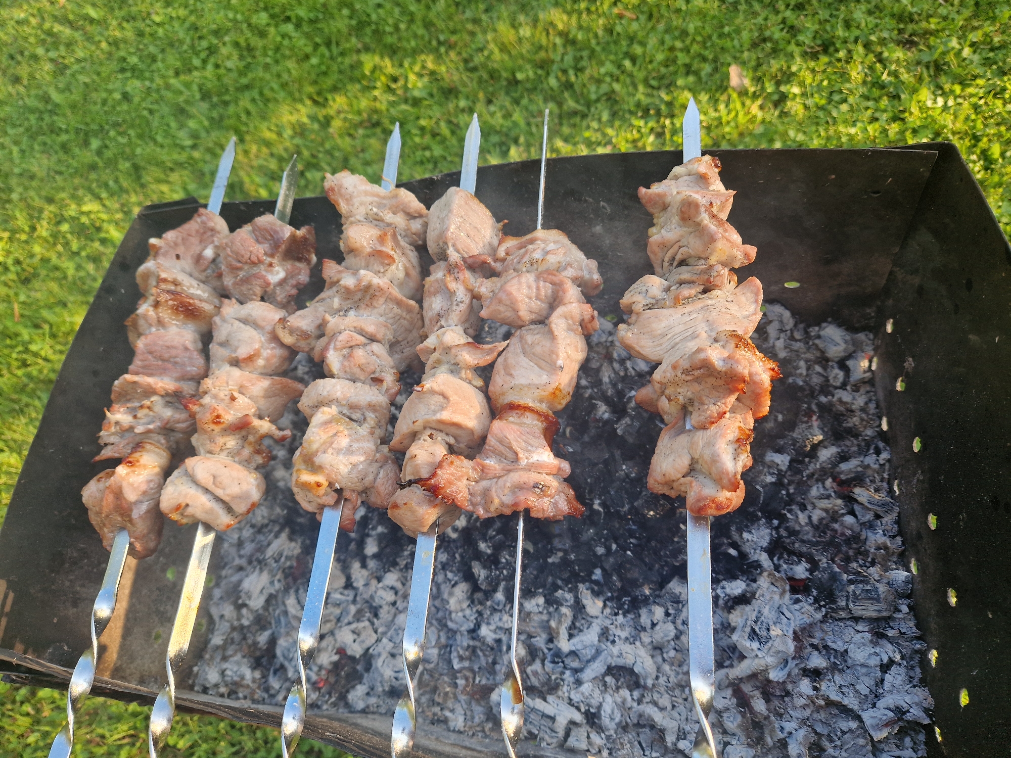 A top-down, medium shot shows several skewers of meat cooking over coals in a black metal grill. The grill is positioned outdoors on a grassy area, with green grass visible in the background. The meat appears to be pork, cut into bite-sized pieces and threaded onto metal skewers. The meat is slightly browned and appears to be in various stages of cooking. The coals are grey and white, indicating they are hot. The scene is captured in natural light, likely during daytime. The location is identified as Zemkopības institūts, Latvia.