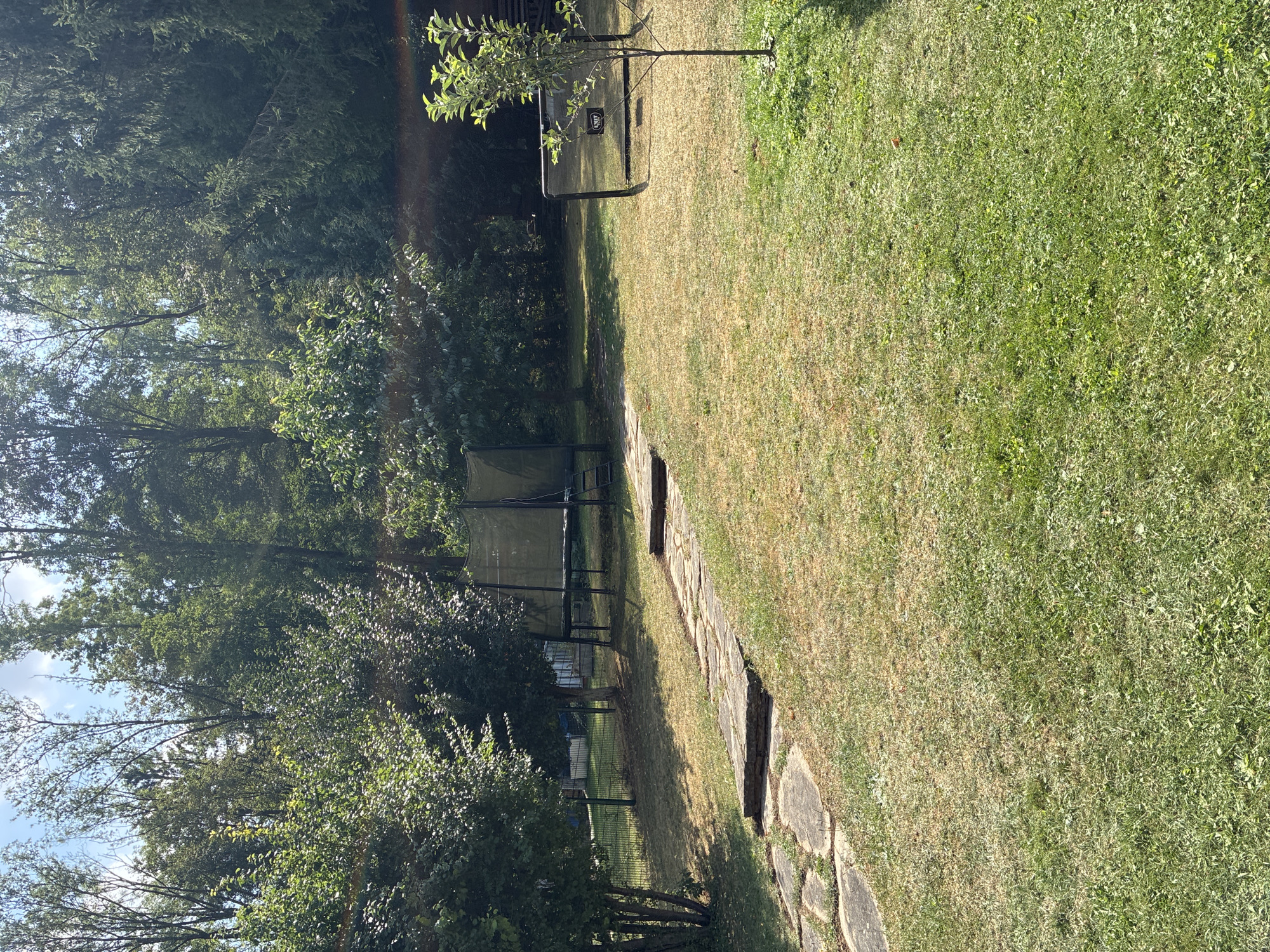 The image depicts a backyard scene in the city of Bad Hersfeld, Germany, bathed in bright sunlight with dappled shadows from the surrounding trees. A flagstone pathway meanders across a lawn that transitions from dry, yellowed grass in the foreground to greener patches further back. To the left, a cluster of leafy green bushes and trees create a dense backdrop, with a metal fence visible behind them.
In the middle ground, two trampolines are set up on the lawn. The trampoline on the left is larger, with a dark green safety net enclosure and a ladder leaning against its side. The trampoline on the right is smaller and appears to be a bounce house or rebounder, with a black frame and a reflective surface that has the word "EXIT" printed on it. A young tree with bright green leaves stands to the right of this smaller trampoline. The background is dominated by a thick wall of various trees, some evergreen and some deciduous, creating a natural border to the property. The sky above is a clear blue with some wispy white clouds. There are no people visible in the image.