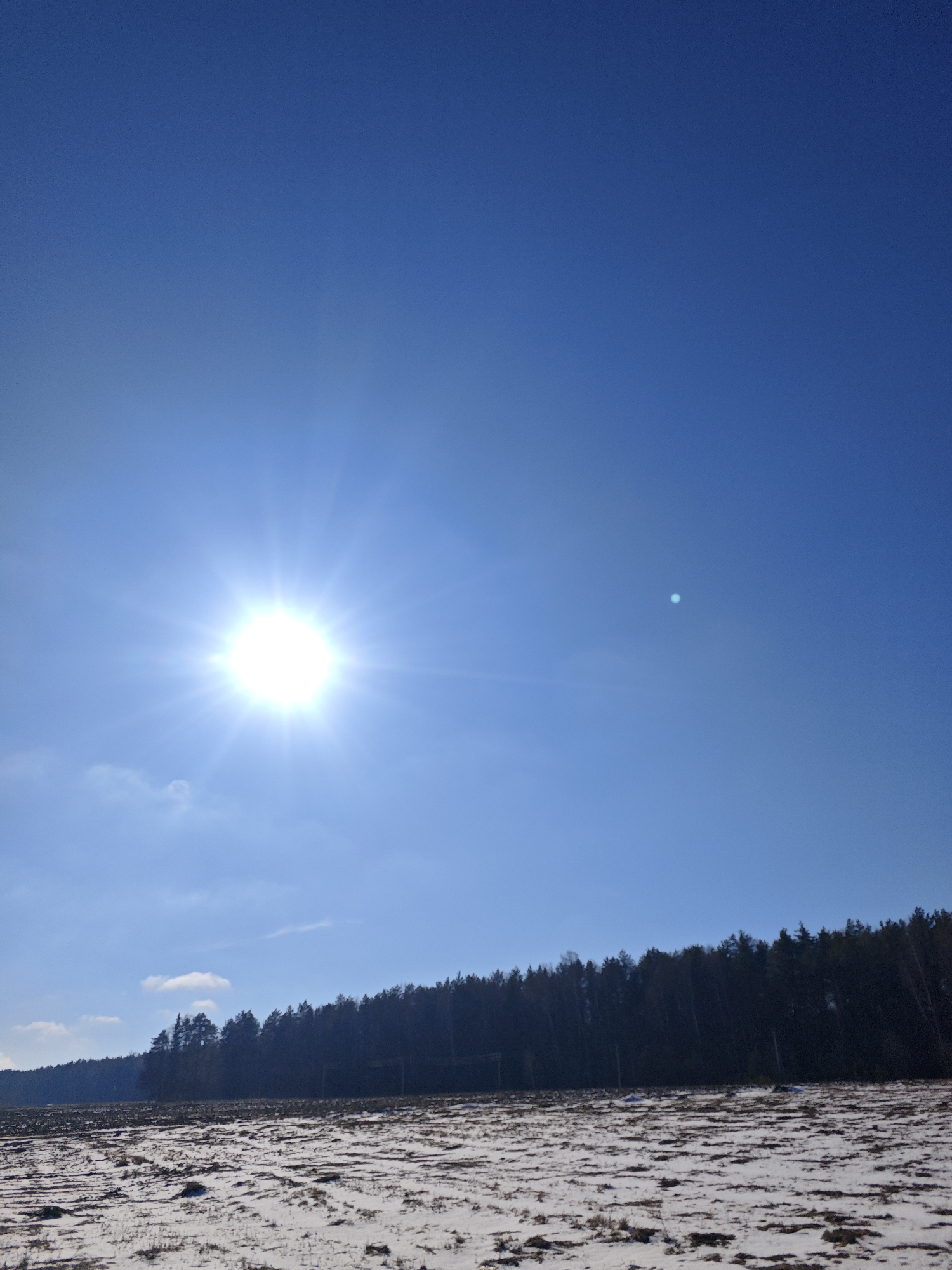 The image shows a sunny day in Прикамский, Russia. The sky is clear and blue with the sun visible in the lower left portion of the frame, and a solar disk, or solar corona, slightly above and to the right of the sun's location. A field covered in patchy snow stretches across the lower portion of the image. A dark line of trees is visible in the middle ground, separating the snowy field from the sky.