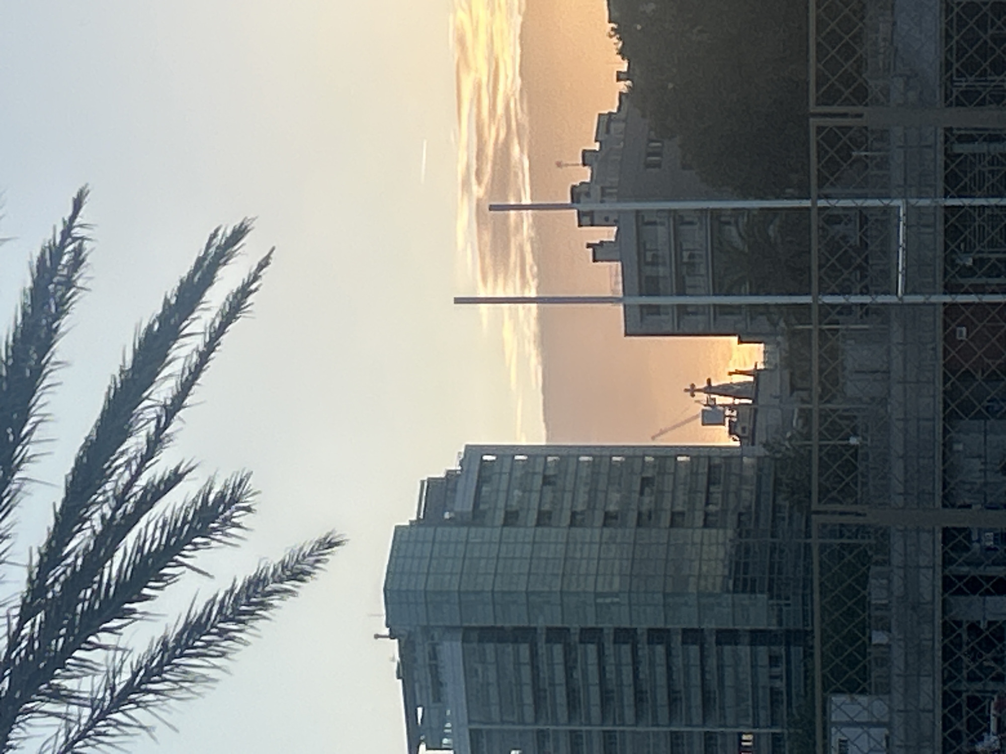 The image, shot in portrait orientation, depicts a cityscape at dusk or dawn. In the foreground on the left, palm tree fronds are visible, their dark silhouettes contrasting with the light sky. Buildings of various heights dominate the central part of the frame, including skyscrapers and structures under construction. Construction cranes and other infrastructural elements are also visible amidst the buildings. The sky is a pale gradient, suggesting the light of the rising or setting sun. The specific location within Barcelona cannot be determined.