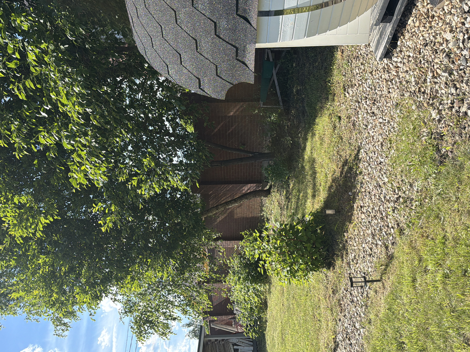 In a backyard located in the village of Alyoshkino DP, Russia, on a bright, sunny day, a small white structure with a dark, shingled, domed roof is visible on the right side of the frame. Adjacent to this structure is a path covered in light-colored gravel. To the left of the gravel path, a well-maintained lawn is present, featuring a few solar-powered garden lights. Further into the yard, a brick wall forms a boundary. Behind the wall, trees with dense green foliage cast shadows on the ground. In the foreground, a small, leafy bush stands in the grassy area. The sky above is blue with scattered white clouds.