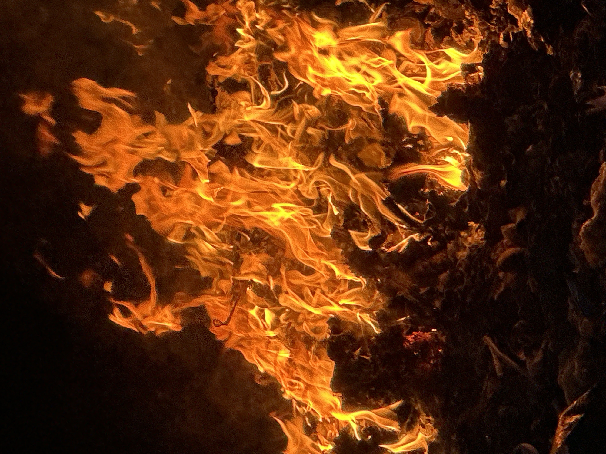 The image depicts a close-up view of a fire. Flames of varying shades of orange and yellow dominate the scene, rising from an area of dark, charred material. The fire is positioned on the right side of the image, with the dark background occupying the left side. There is no indication of the location in Bac Nha Trang Ward, Vietnam. There are no people, specific objects, actions, or interactions visible. The environment consists of fire and its immediate surroundings.