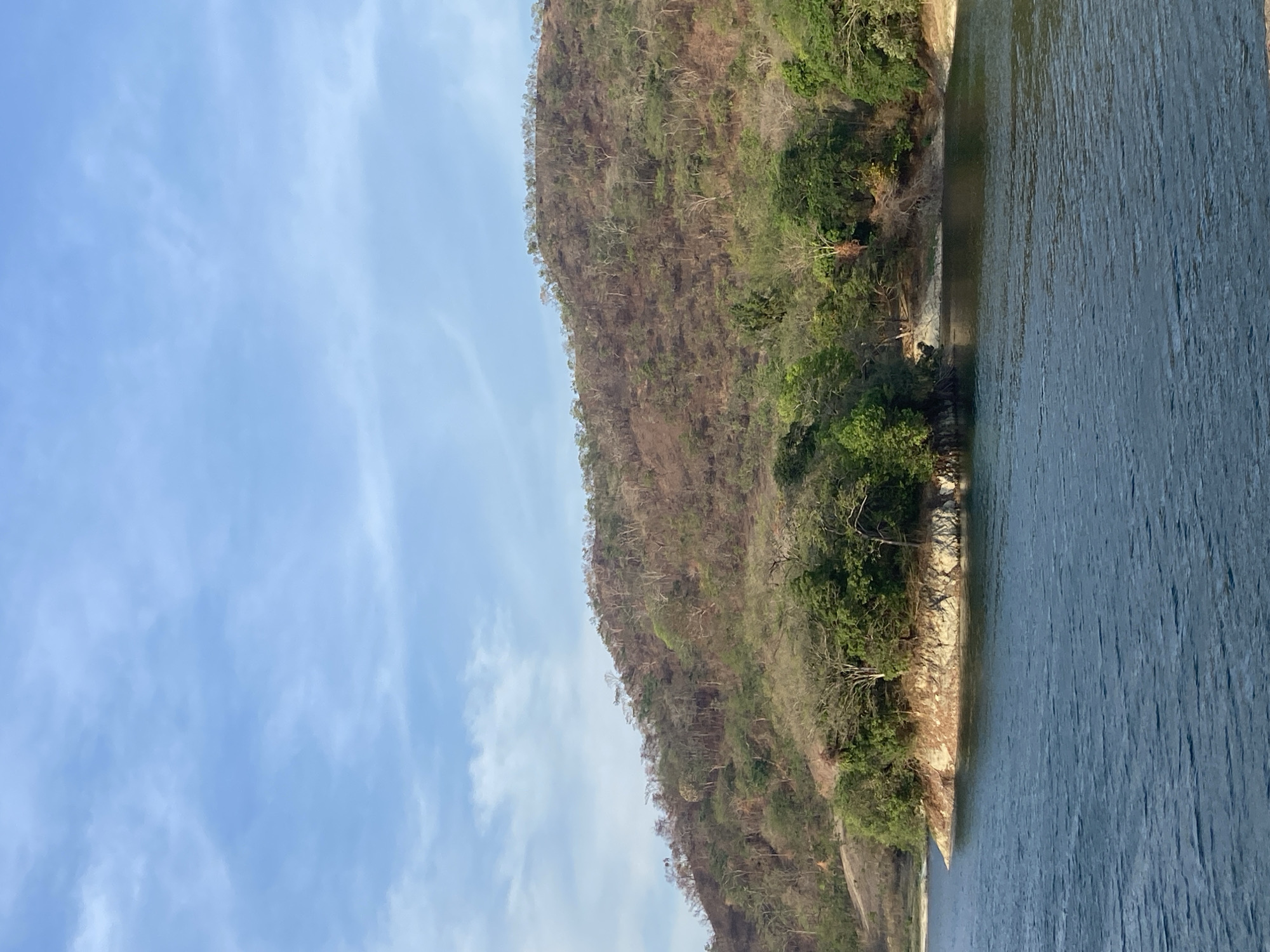 This image depicts a serene natural landscape, likely in Tinaquillo, Venezuela, showcasing a hillside meeting a body of water under a bright sky. The upper left portion of the frame is filled with a clear, light blue sky, adorned with soft, wispy white clouds, indicating fair weather during the day.
The central and upper right sections feature a sloping hillside or mountain, covered in a mix of vegetation. Patches of dry, brownish-green trees and shrubs intermingle with areas of denser, vibrant green foliage, suggesting a diverse ecosystem or seasonal variations in plant life. The hillside gently slopes down towards the water's edge.
In the lower and right parts of the image, a calm body of water, possibly a river or a lake, occupies a significant portion of the frame. Its surface is a deep blue-green, reflecting the light and showing subtle ripples and textures. A narrow, light-colored shoreline, appearing sandy or rocky, separates the water from the base of the vegetated hillside, with some sparse green plants growing along the edge.
The scene is well-lit by daylight, implying either morning or afternoon. There are no visible people, animals, or man-made structures, nor any discernible text, emphasizing the untouched natural environment.