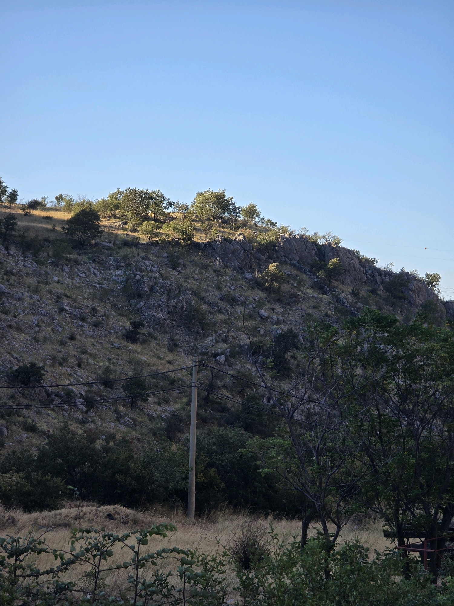 The image captures a natural landscape with a clear blue sky above a rugged, rocky hillside dotted with trees. The hillside slopes upwards towards the top of the frame, with sparse vegetation and exposed rock faces. Several trees are visible on the upper part of the slope, some of which are illuminated by sunlight. In the foreground, there are more trees with darker foliage, and dry, tall grass. A utility pole stands vertically on the right side of the frame, with power lines extending across the mid-ground. The overall scene suggests a natural environment, possibly on the outskirts of a populated area, given the presence of the utility pole. The lighting indicates it is likely late afternoon or early morning.