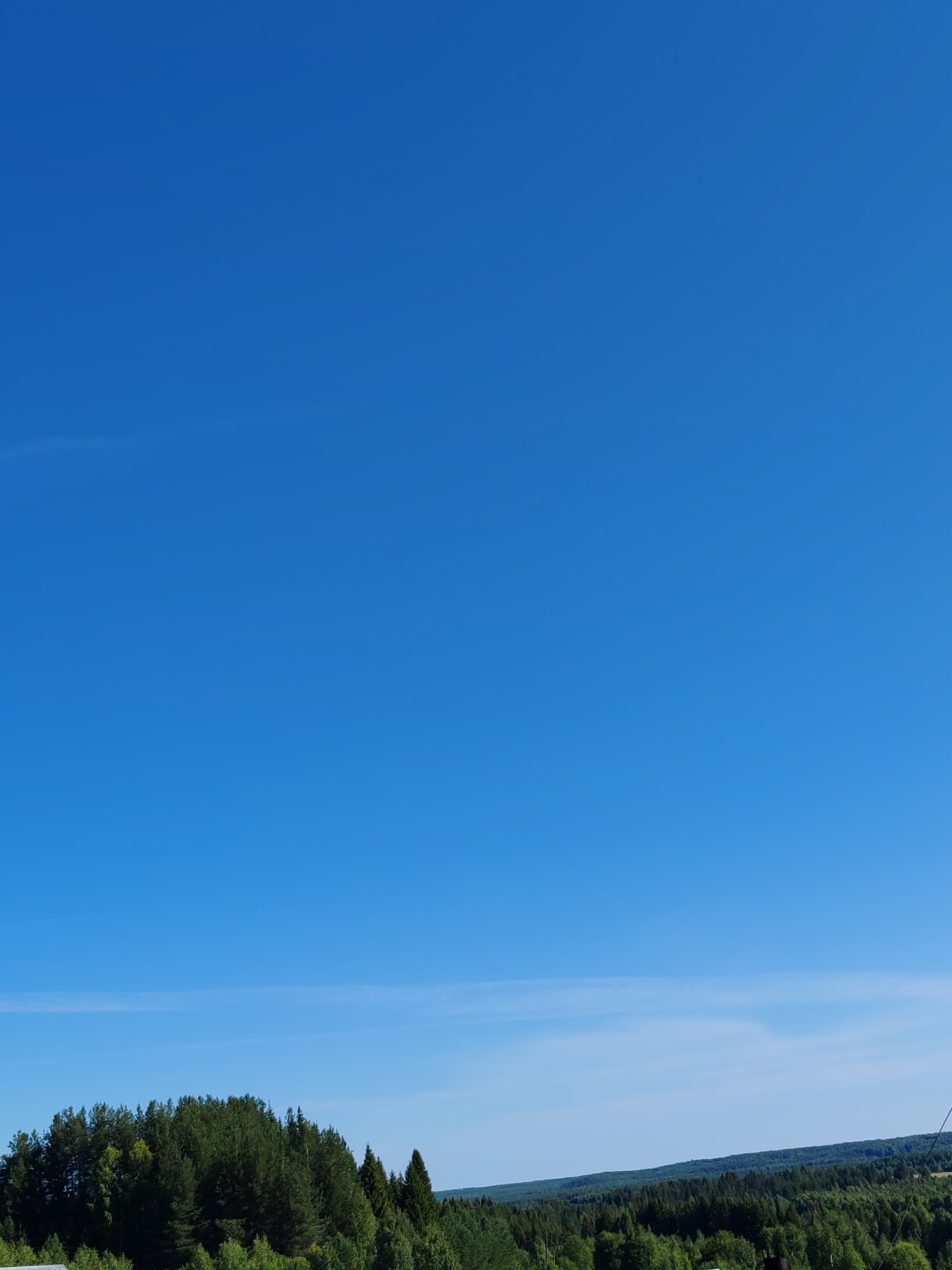 A vast expanse of clear blue sky dominates the upper portion of the image. Below the sky, a dense, dark green forest stretches horizontally across the frame, with varied tree heights and textures. The trees are predominantly coniferous, forming a thick canopy that obscures the ground. In the distance, the forest recedes, becoming a softer, muted green silhouette against the horizon. A faint, wispy cloud is visible in the sky near the top edge of the forest line. The overall scene depicts a natural, undeveloped landscape.