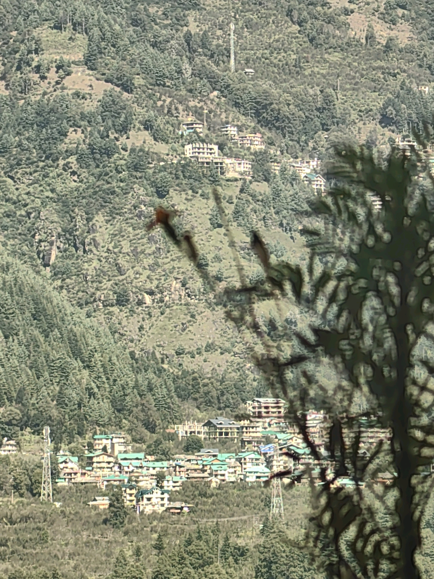 This image shows a village built on a mountainside, likely Vashisht, India, a popular tourist destination known for its hot springs. The architecture suggests a mix of traditional and modern buildings, with many structures featuring green roofs. The village is nestled within a lush, green landscape dominated by pine trees covering the steep slopes. A telecommunications tower is visible to the left of the village, and a cell tower is also present on the right side. The foreground is partially obscured by the dark branches of a pine tree, creating a layered effect and adding depth to the scene. The sky is bright, indicating daylight, and the overall atmosphere suggests a clear day in a mountainous region.